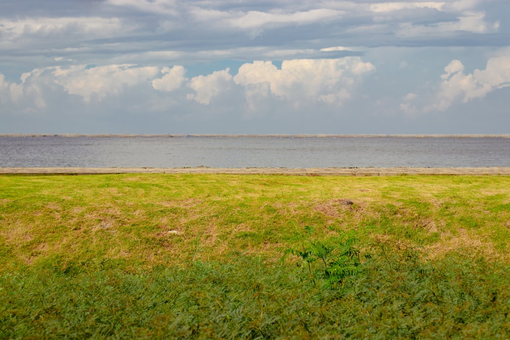 a grassy area next to a body of water