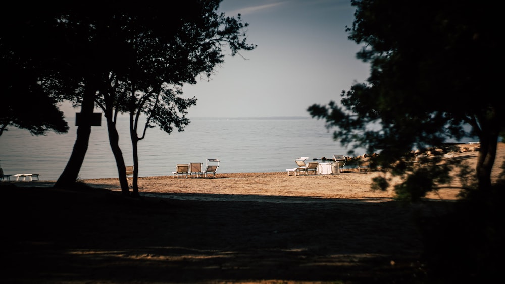 a beach with chairs and trees