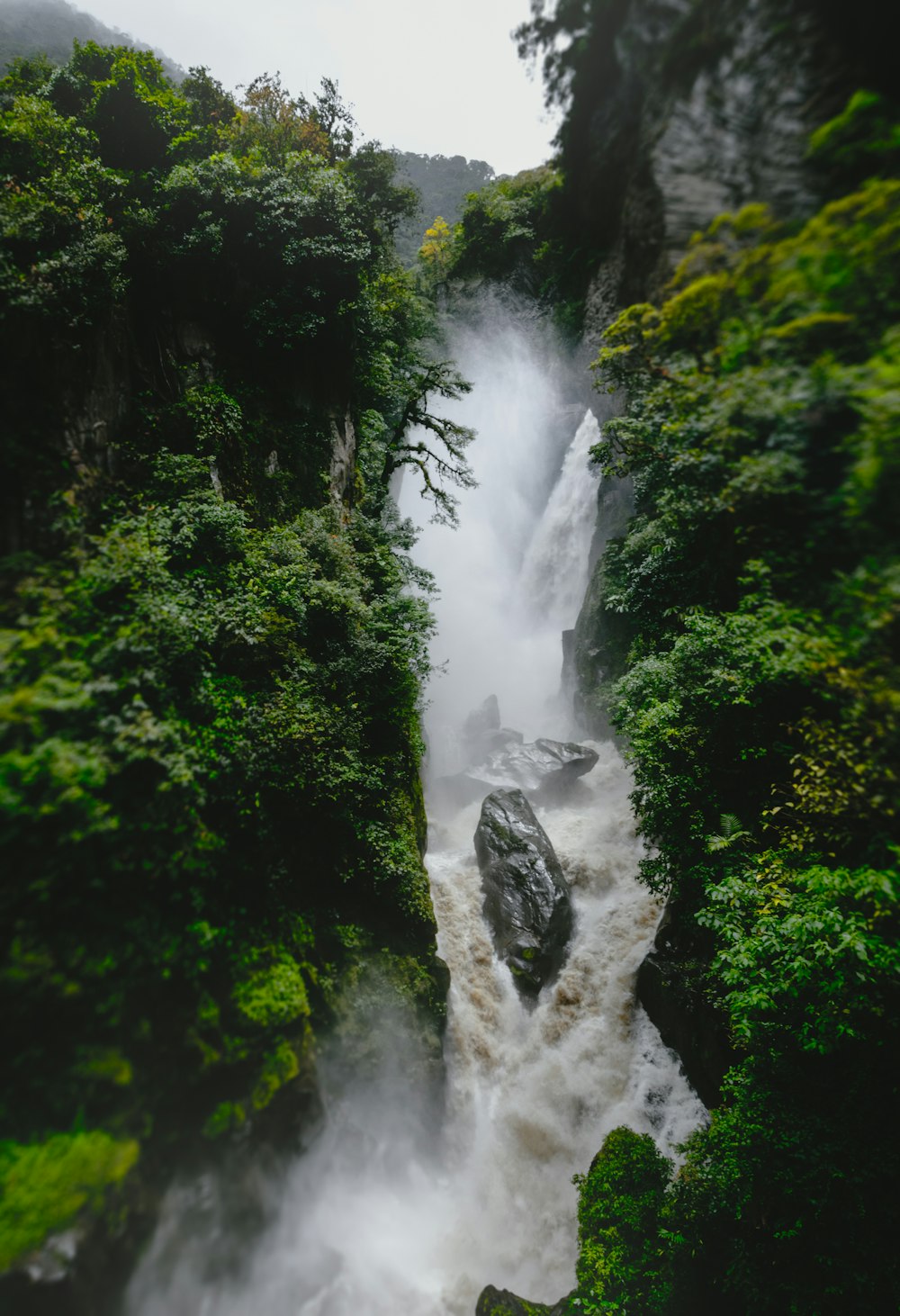 a waterfall in a forest