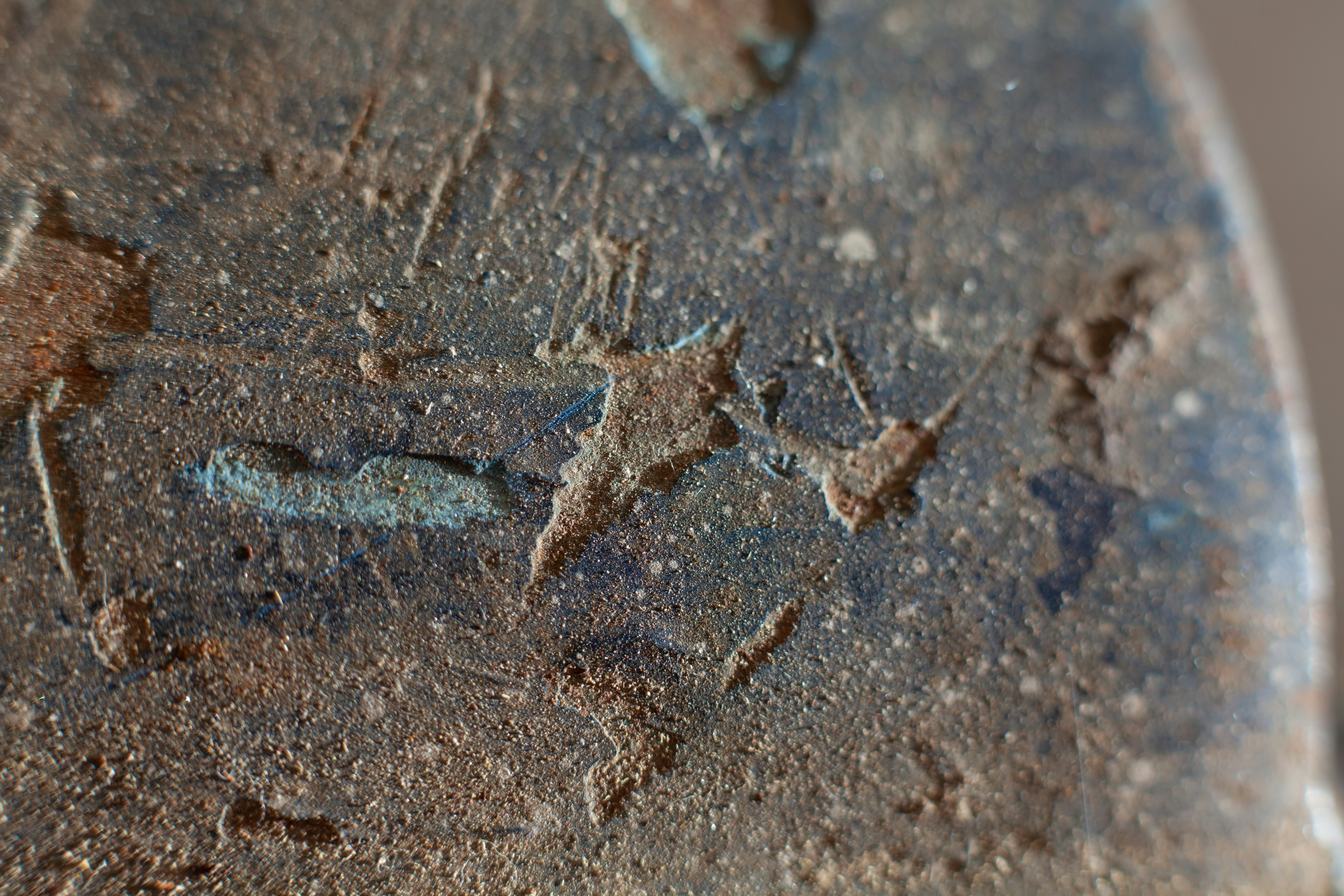 a close up of a leaf