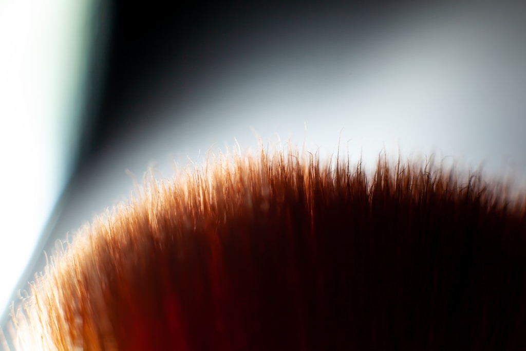 Soft Touch Powder Brush