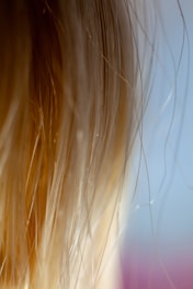 Close-up view of light-colored hair strands, with a soft focus on individual strands against a blurred background transitioning from blue to pink.