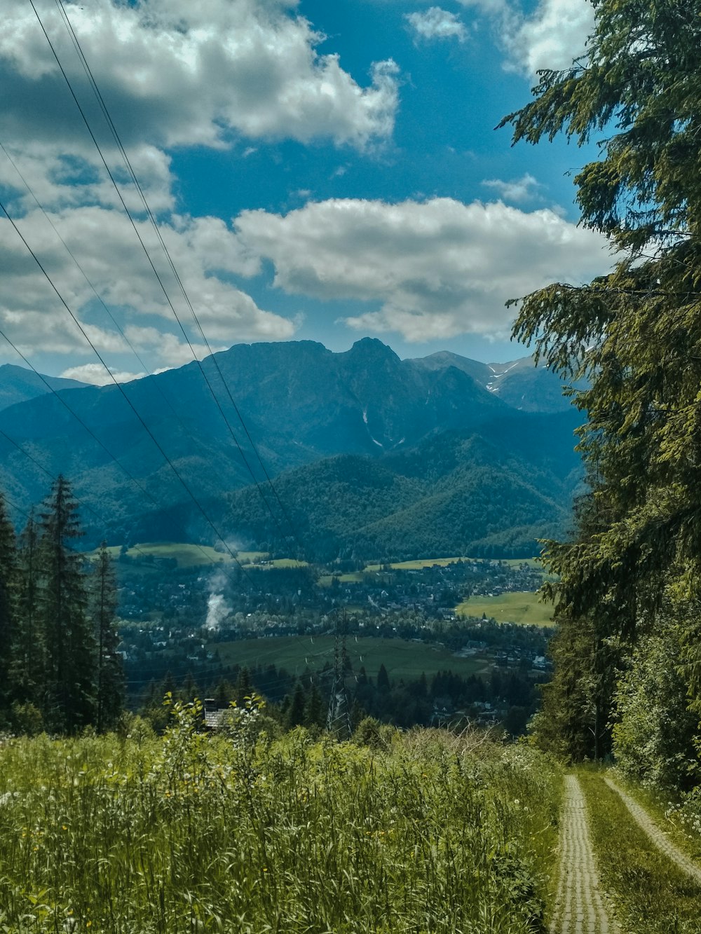 a landscape with trees and mountains