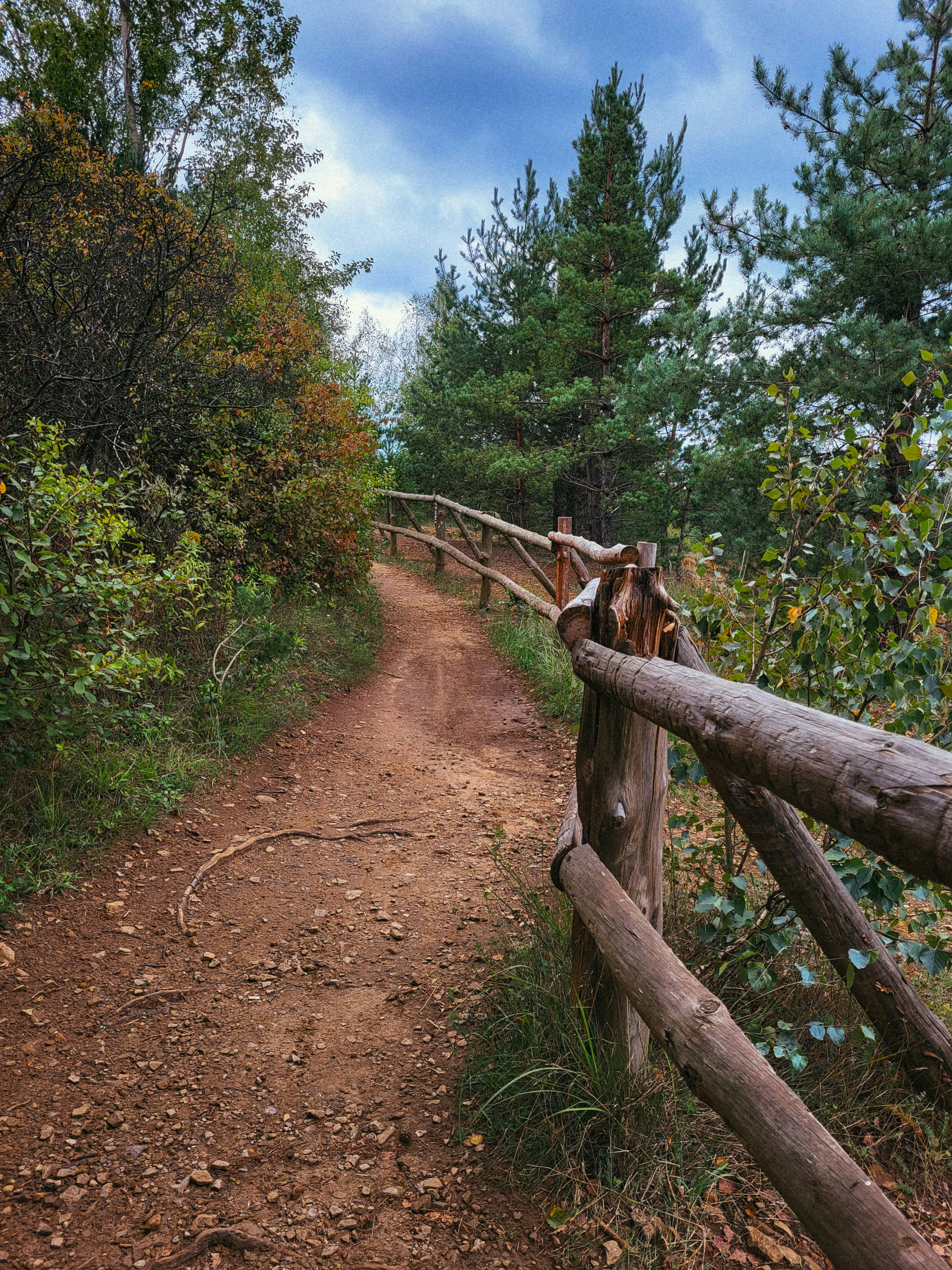 Foto Un camino de tierra con una valla y árboles en el costado – Imagen ...