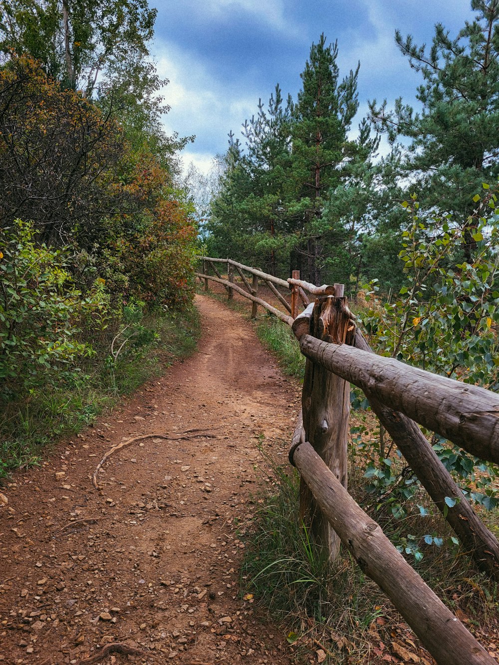 a dirt path with a fence and trees on the side