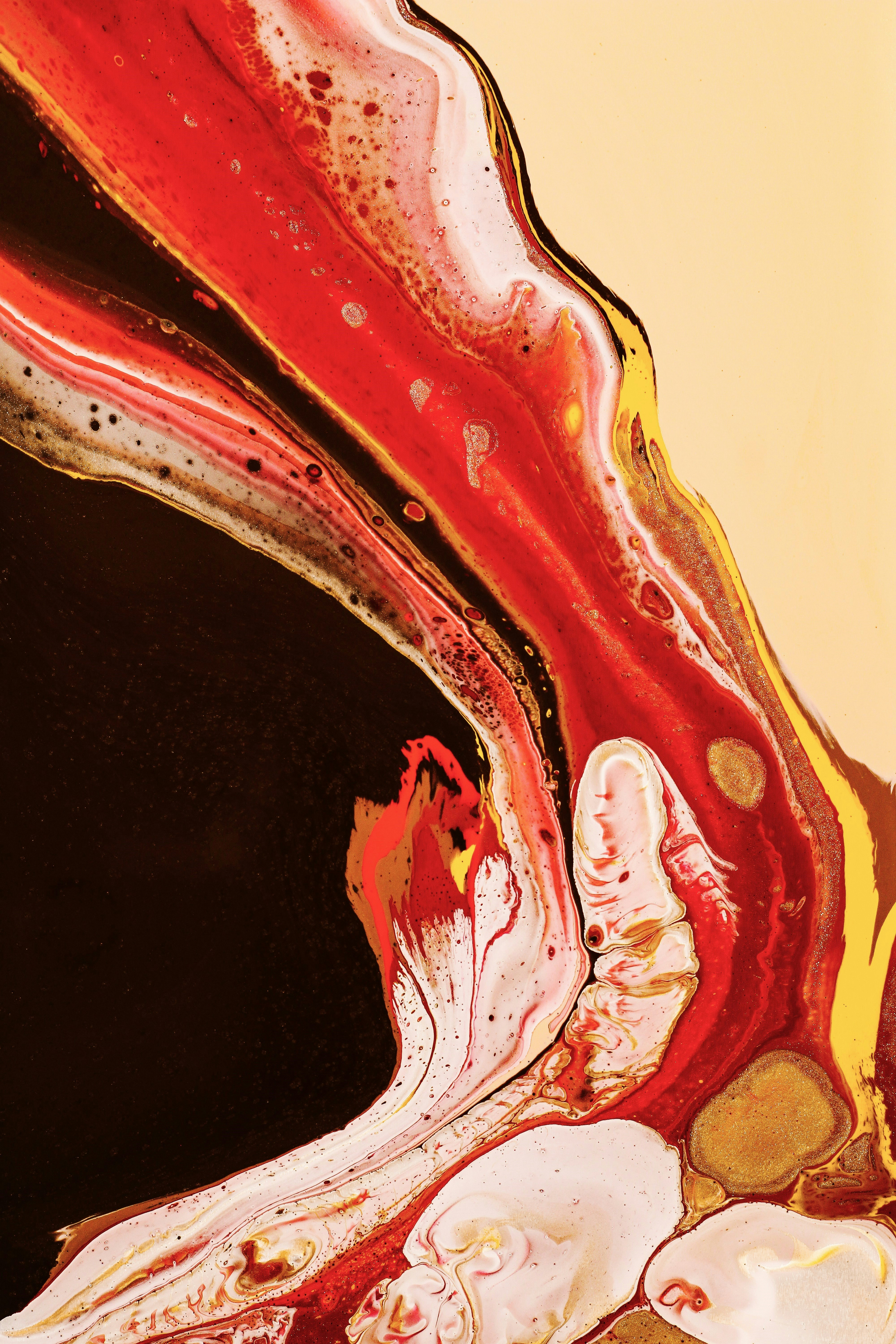 Un primo piano di una scarpa rossa e bianca