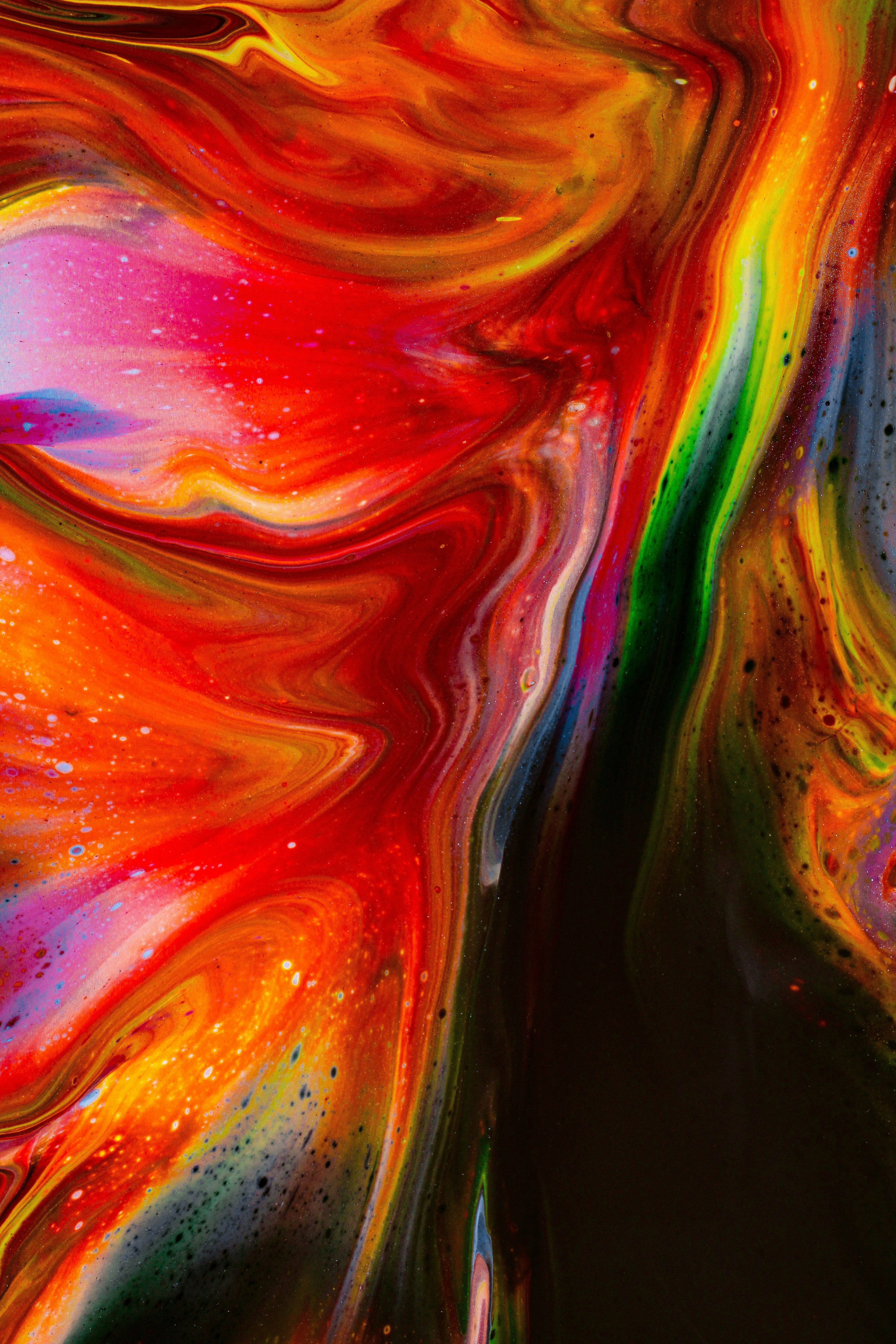 Photo by susan_wilkinson