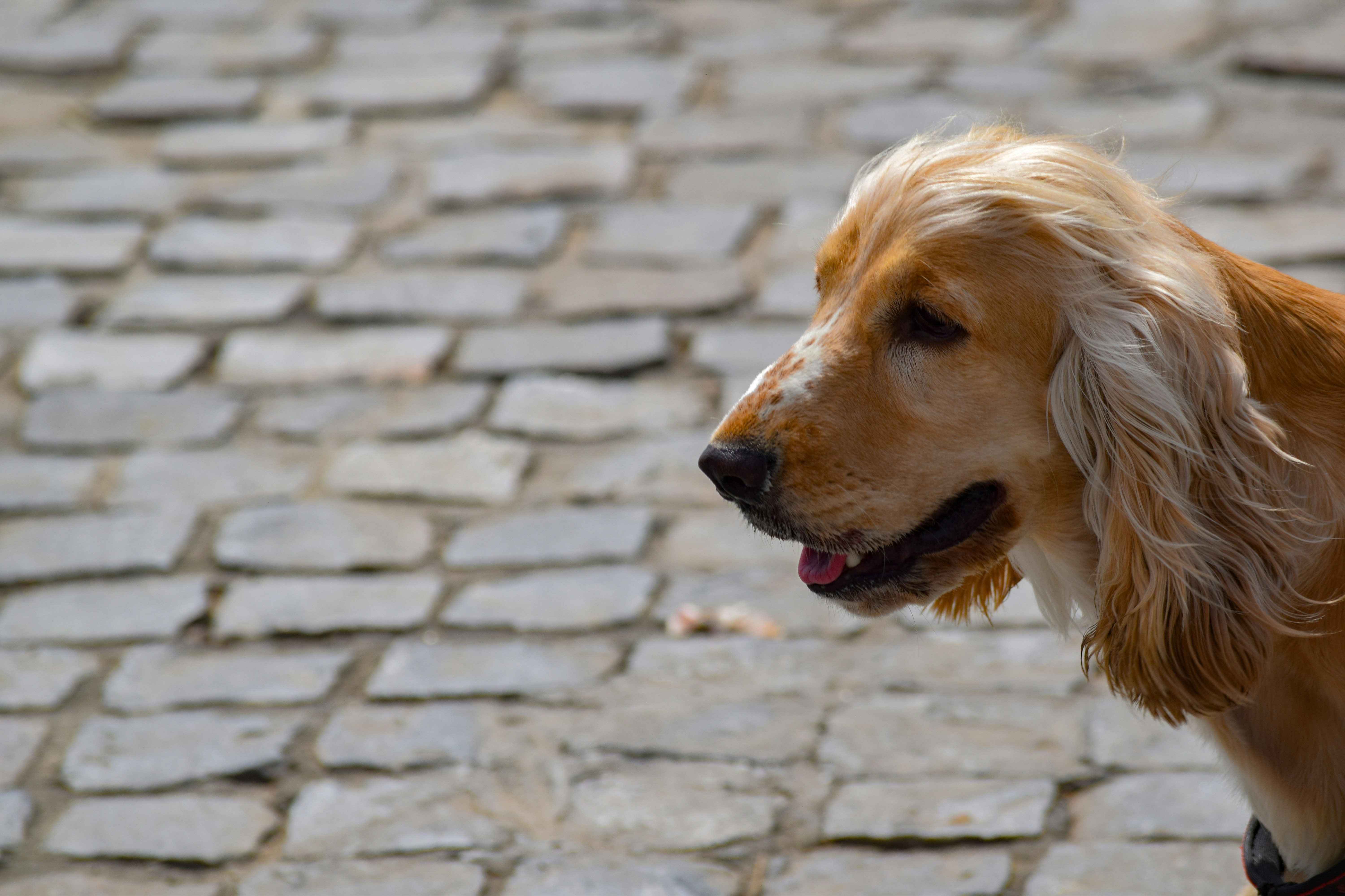 Photo by moonmelonpizza