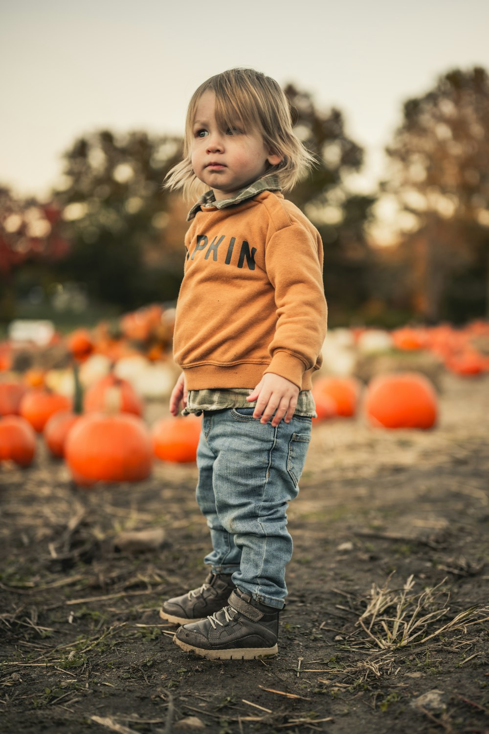 a child standing in front of pumpkins