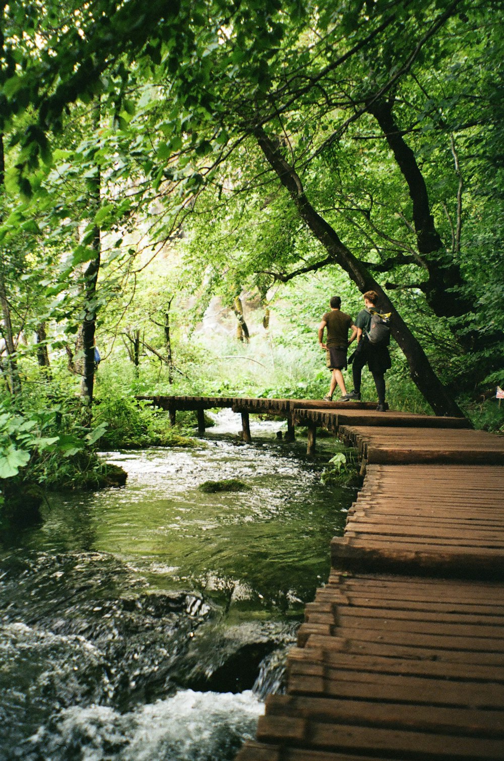a group of people walking on a wooden bridge over a river