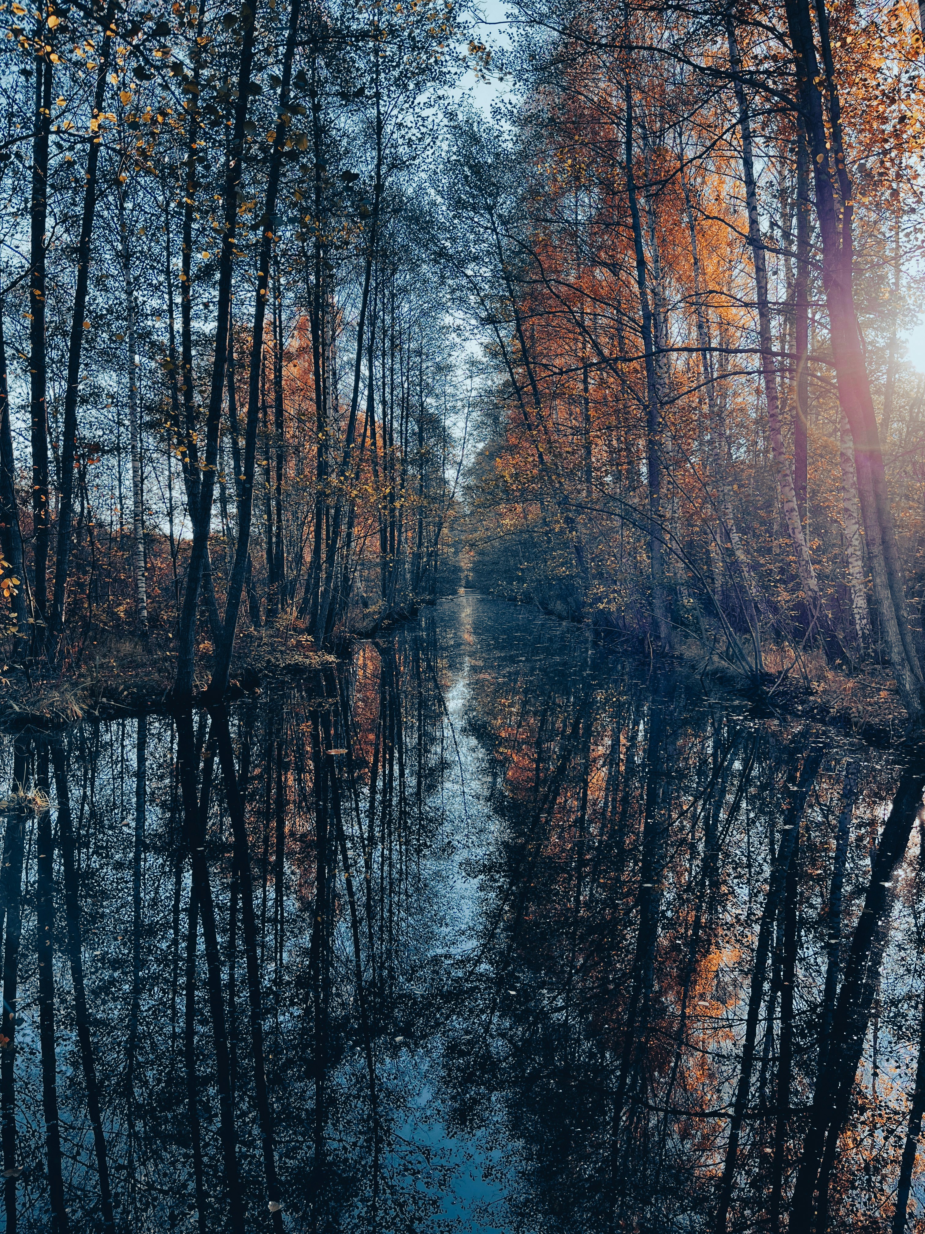 Photo by manuelltony