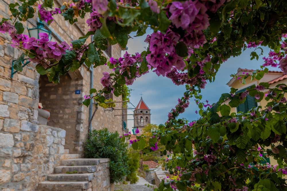 a stone wall with purple flowers