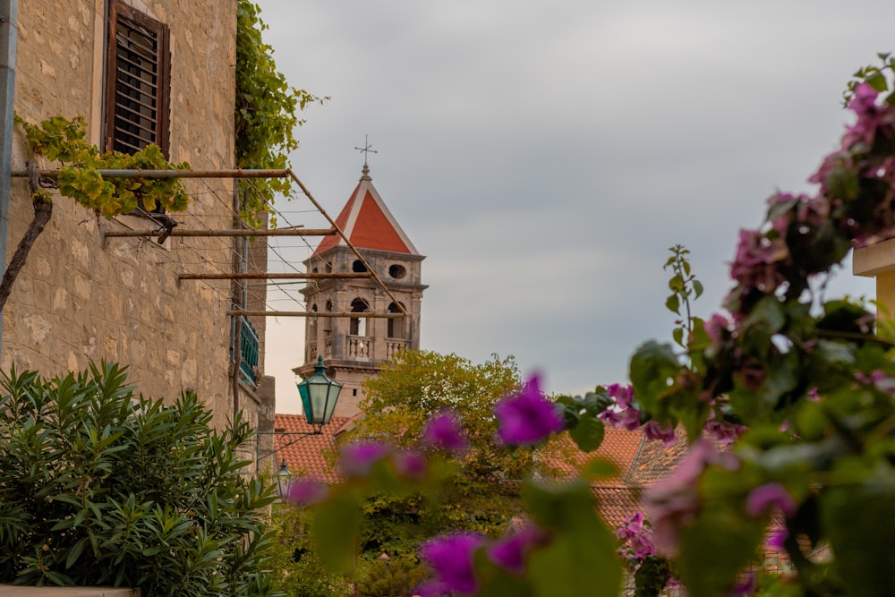 a building with a tower and flowers in front of it