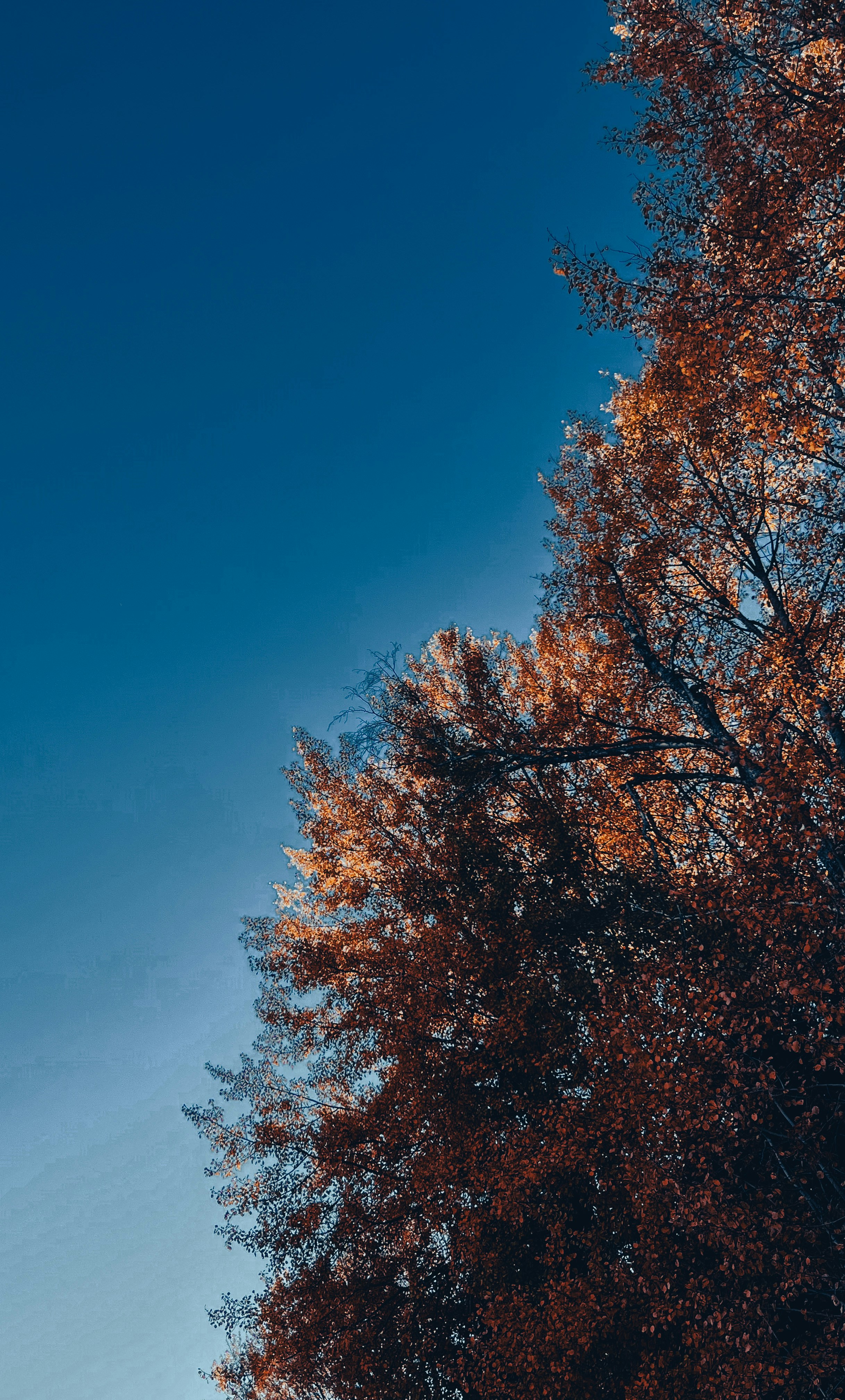 Photo by manuelltony