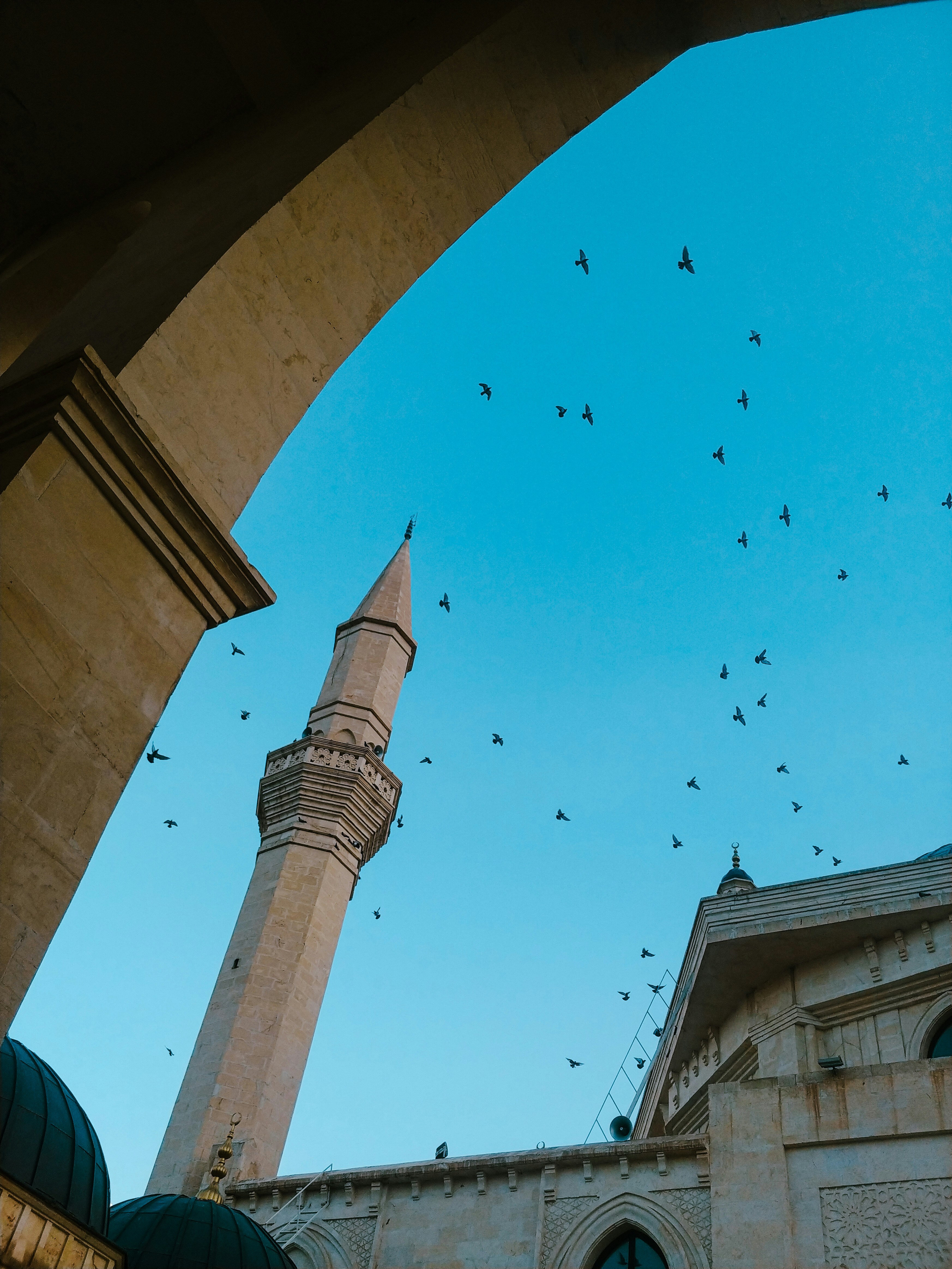 Photo by take_a_picture