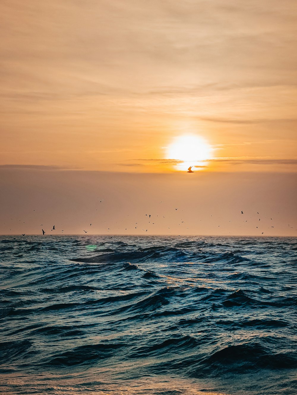 a body of water with boats in it and a sunset in the background