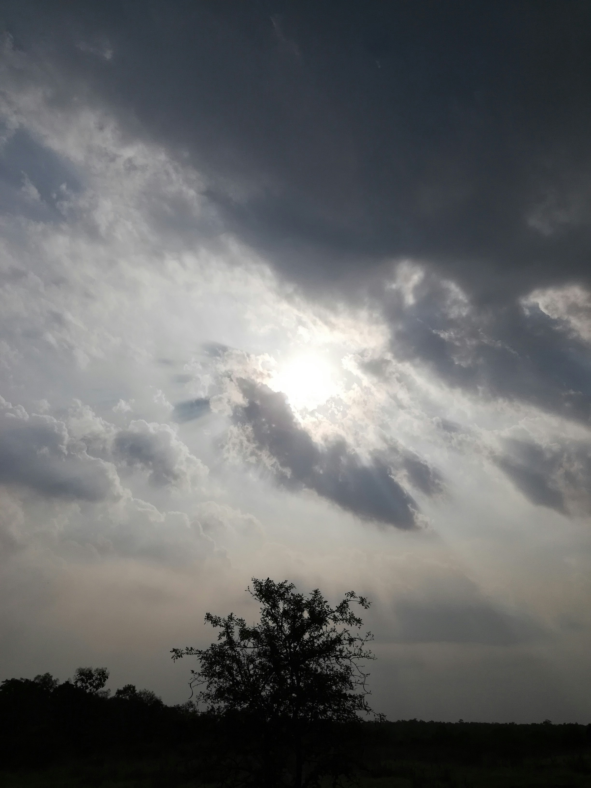 Photo by nikhilpchandane