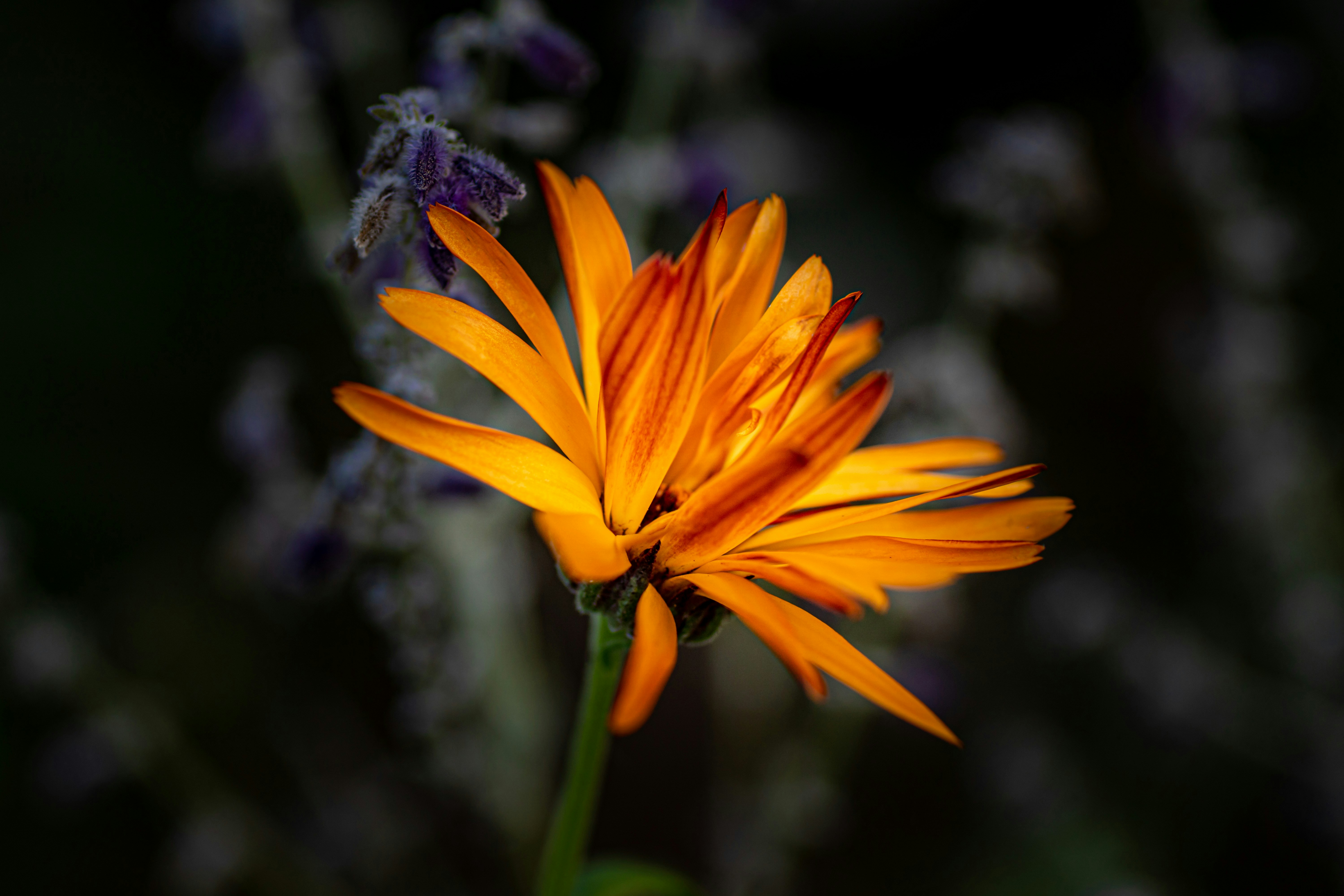 Photo by achimr