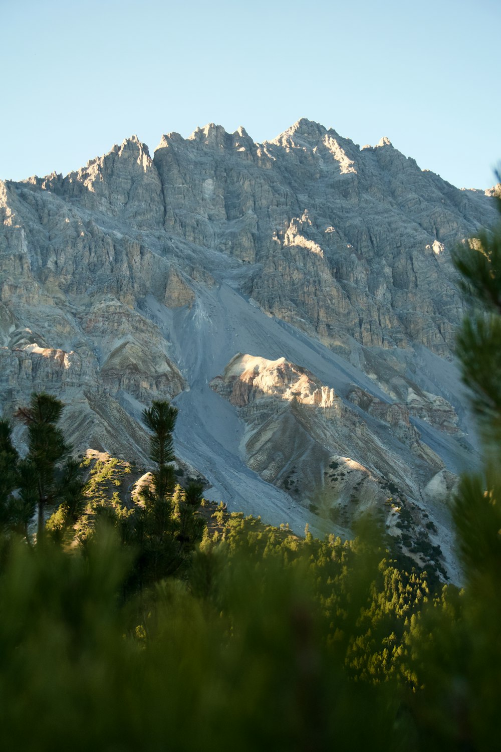 a mountain with trees and grass