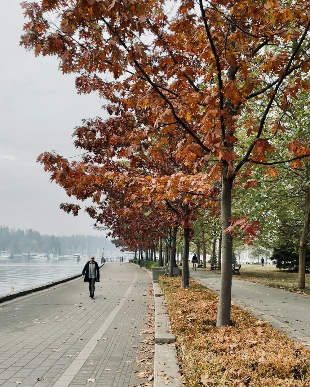 a person walking on a path with trees on either side of it