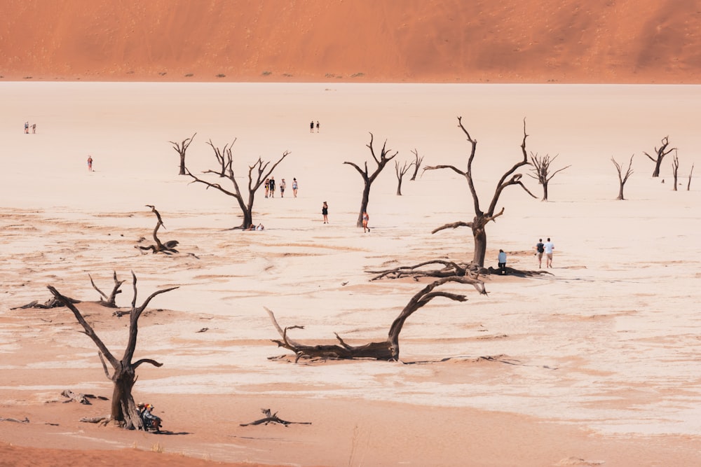 Un grupo de personas caminando por una playa