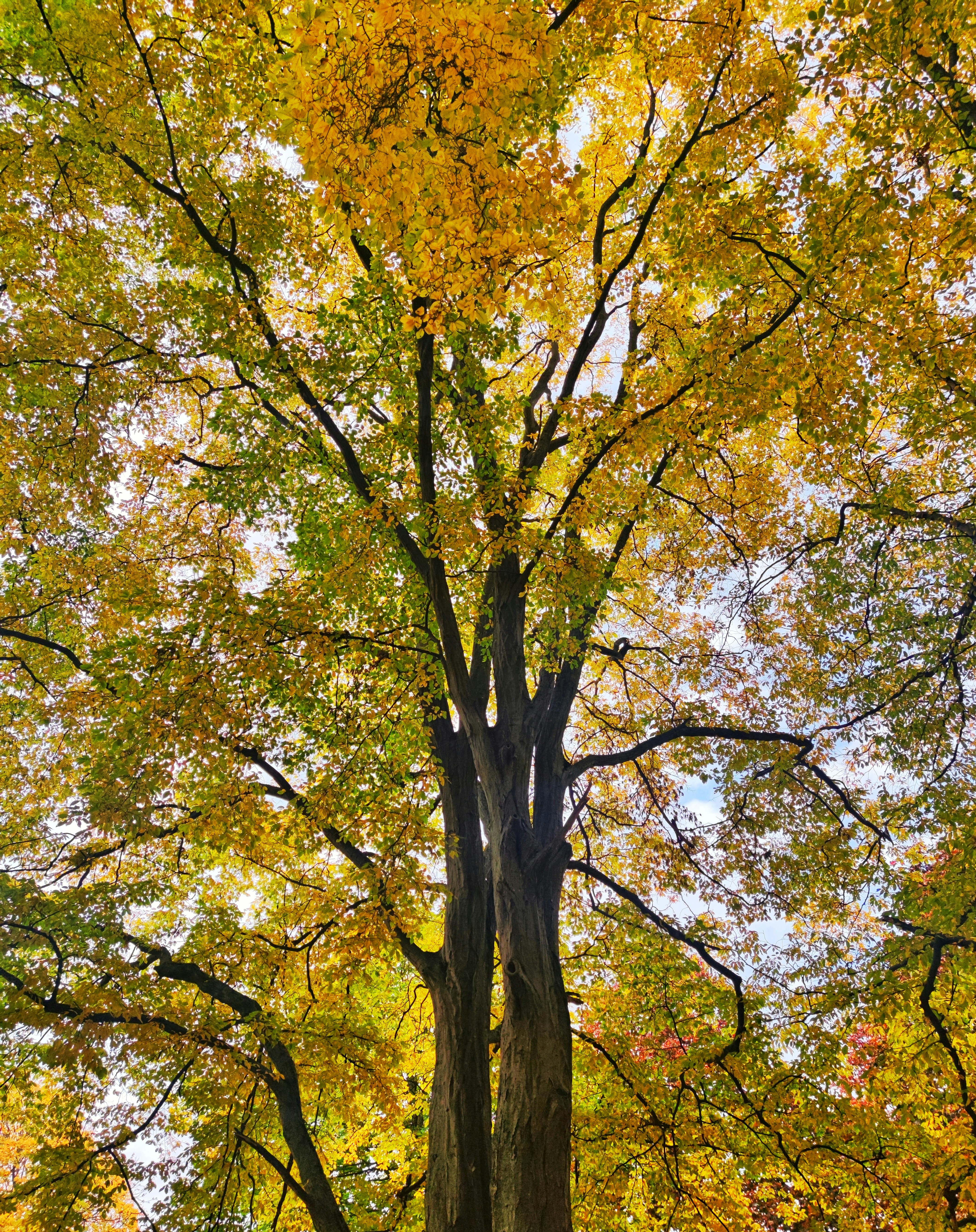 Photo by wahid_sadiq