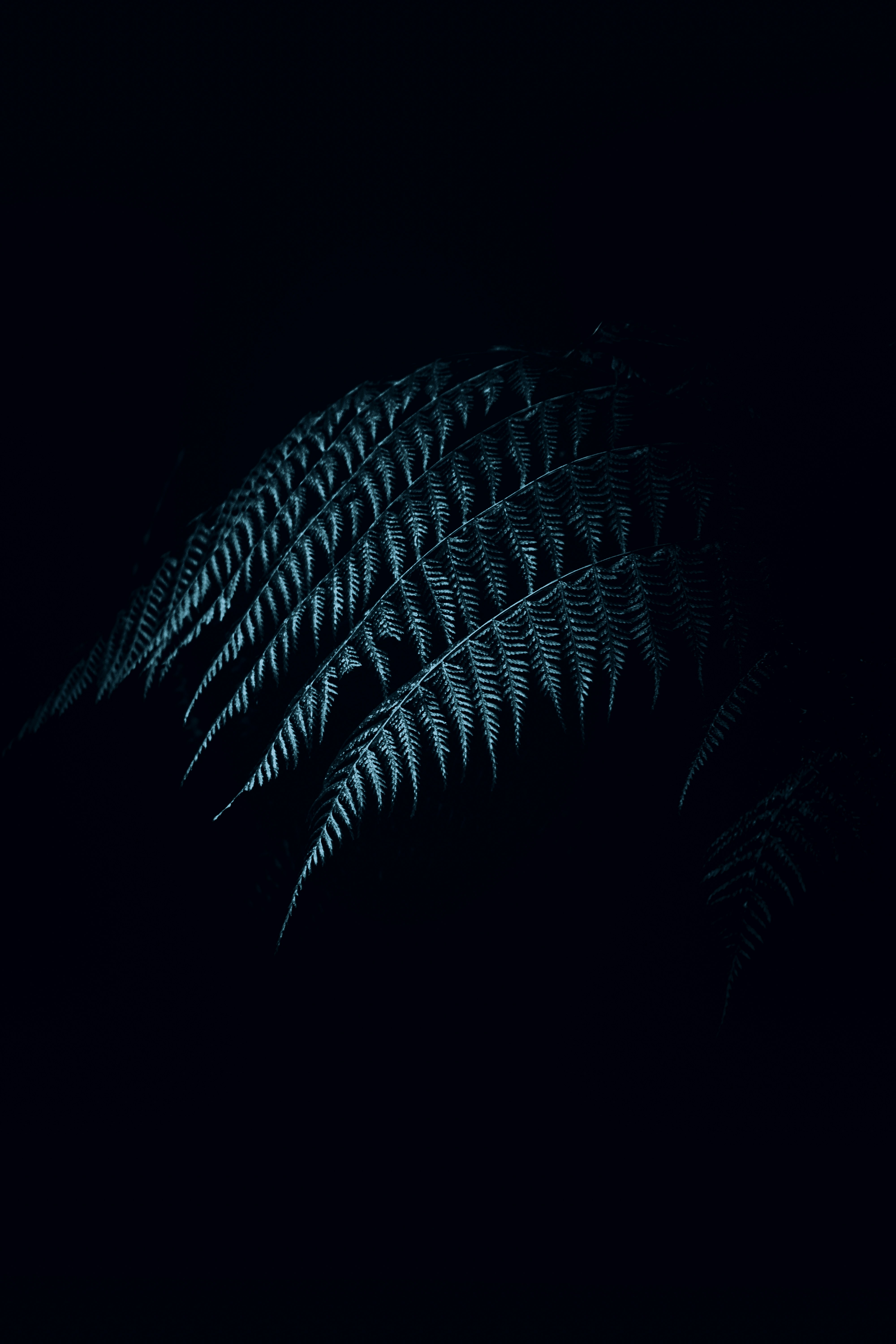 Photo by reinaldogaranito