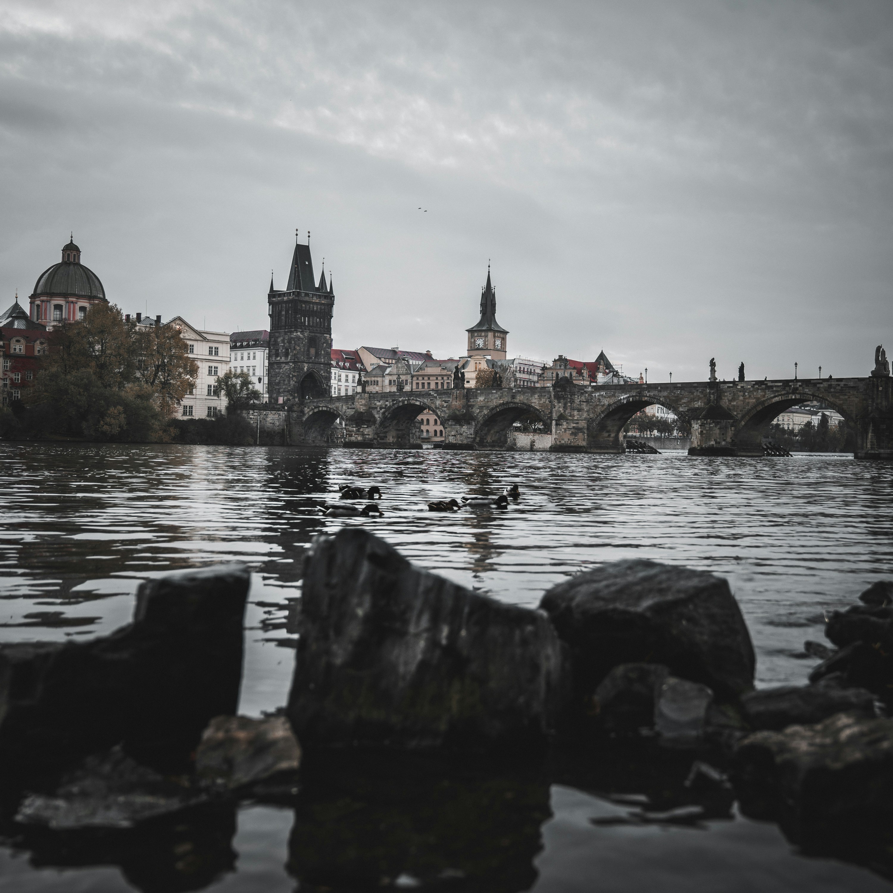 Photo by mikhail_mamaev