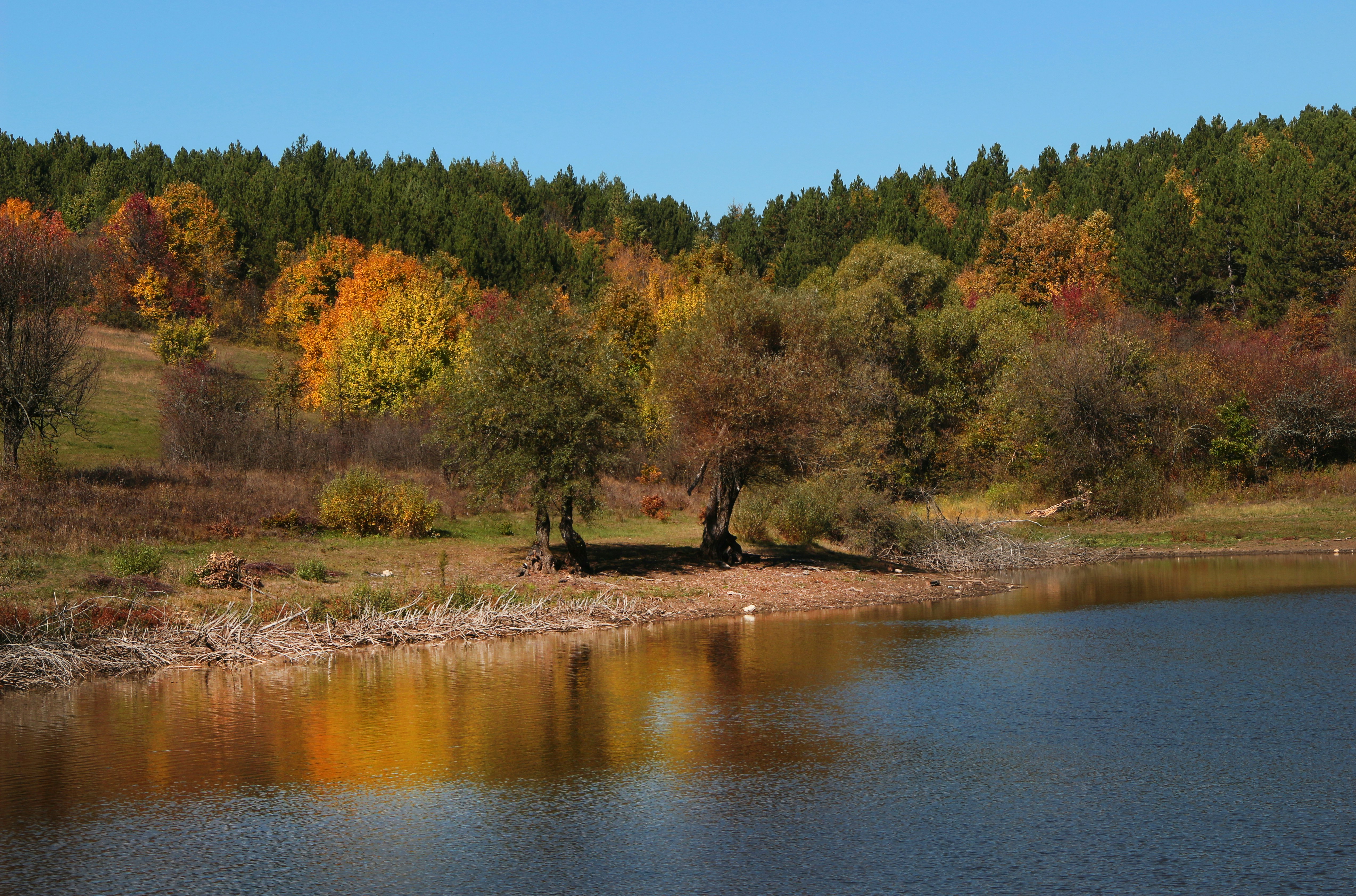 Photo by miloslopusina