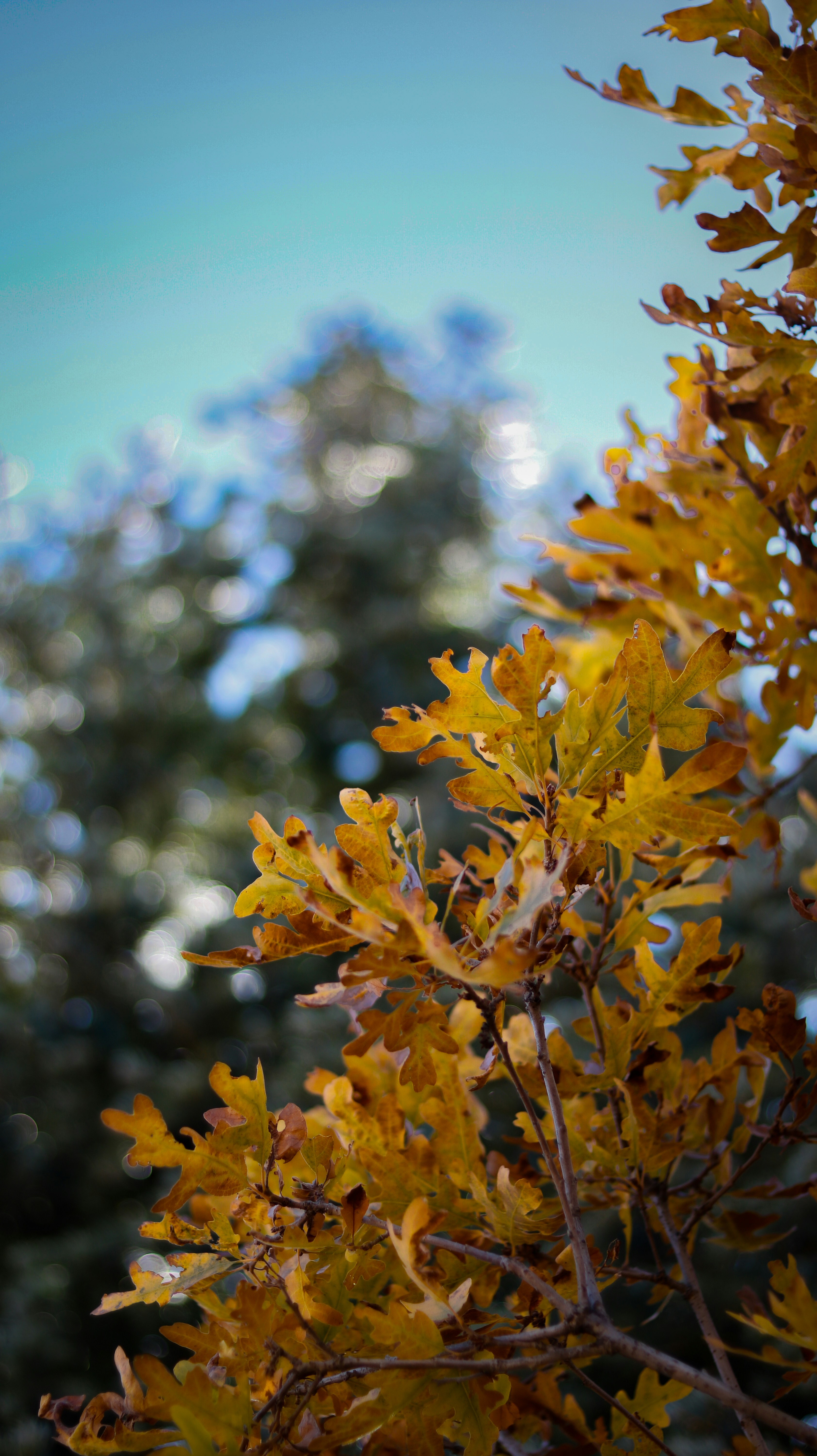 Photo by heberdavisphotography