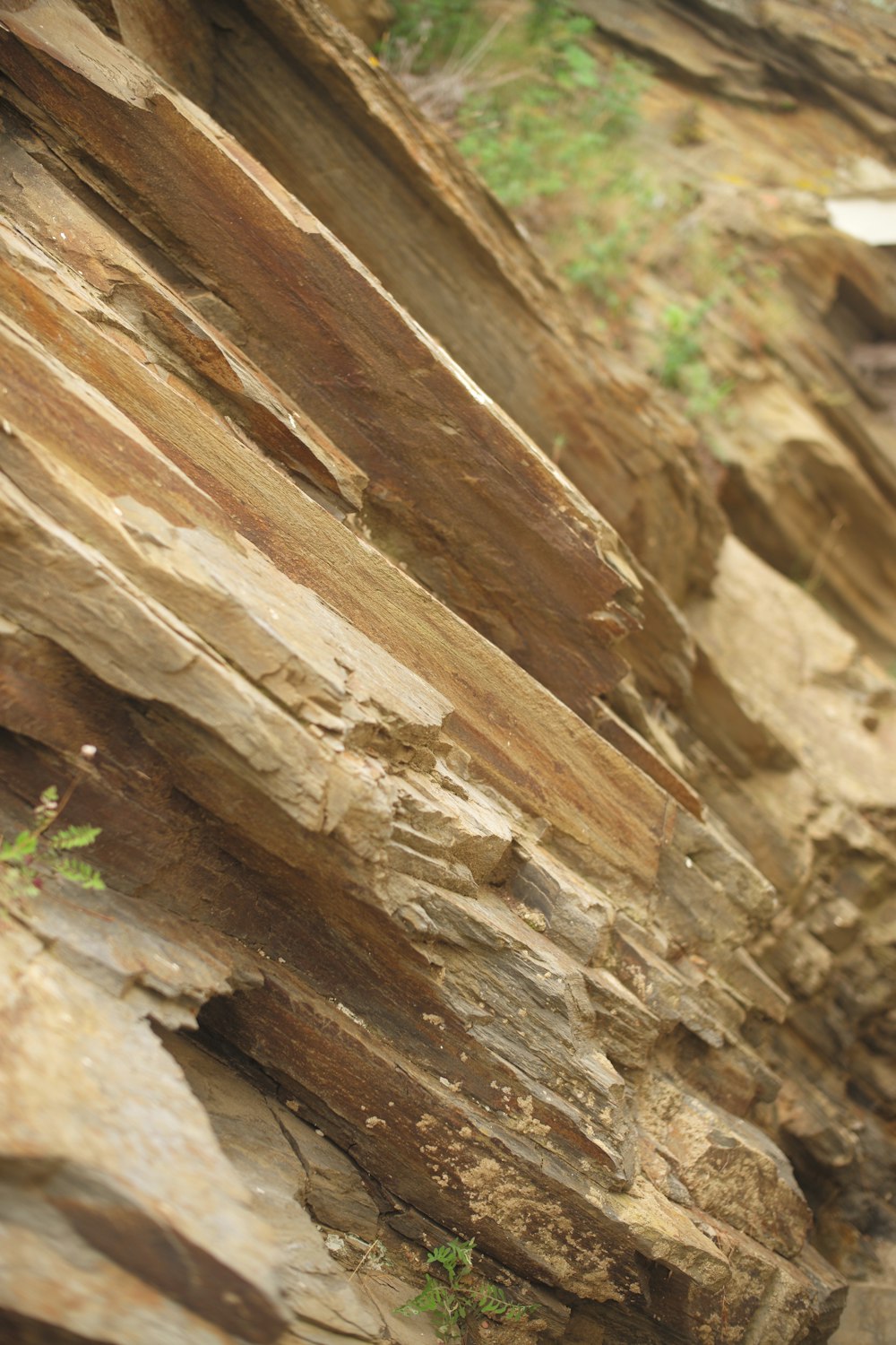 a close up of a wood plank