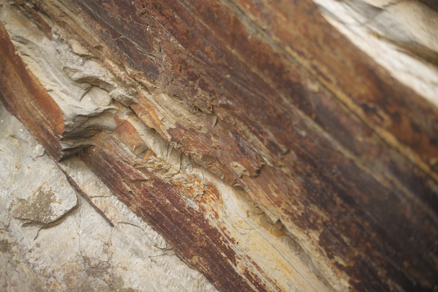 Close-up of a wood surface showing damage