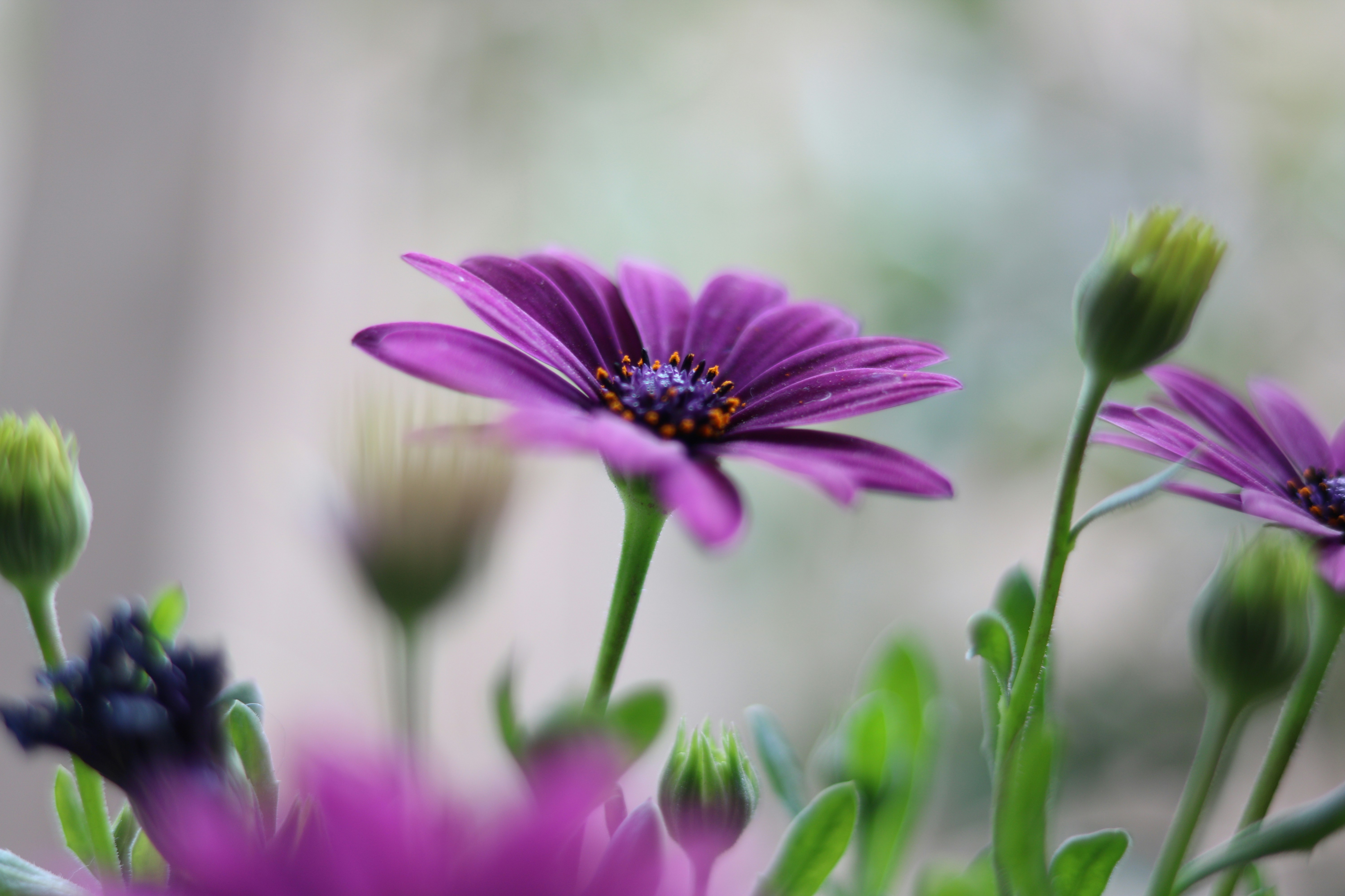 Photo by saramusrafa1223