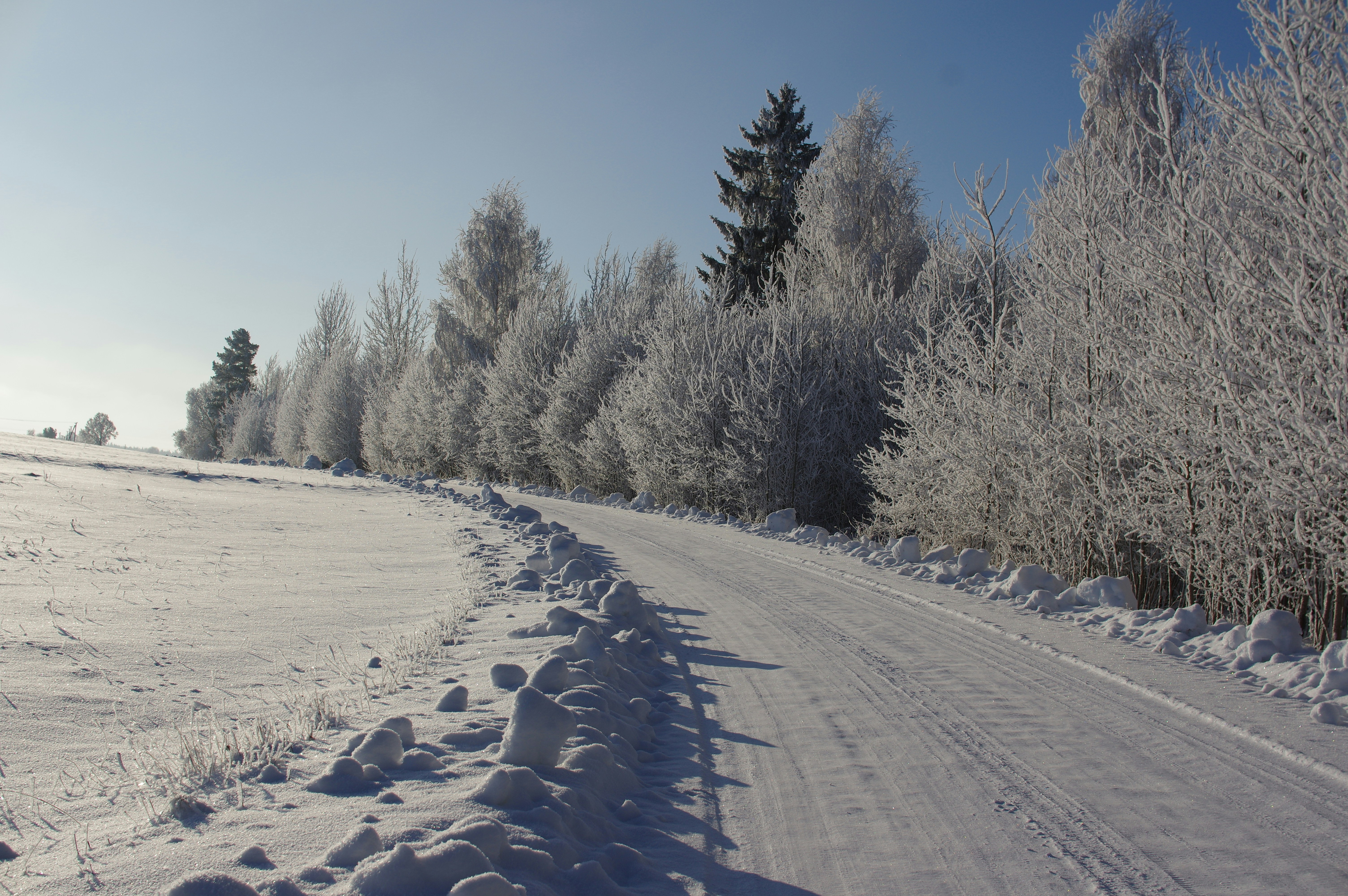 Photo by inguliux77