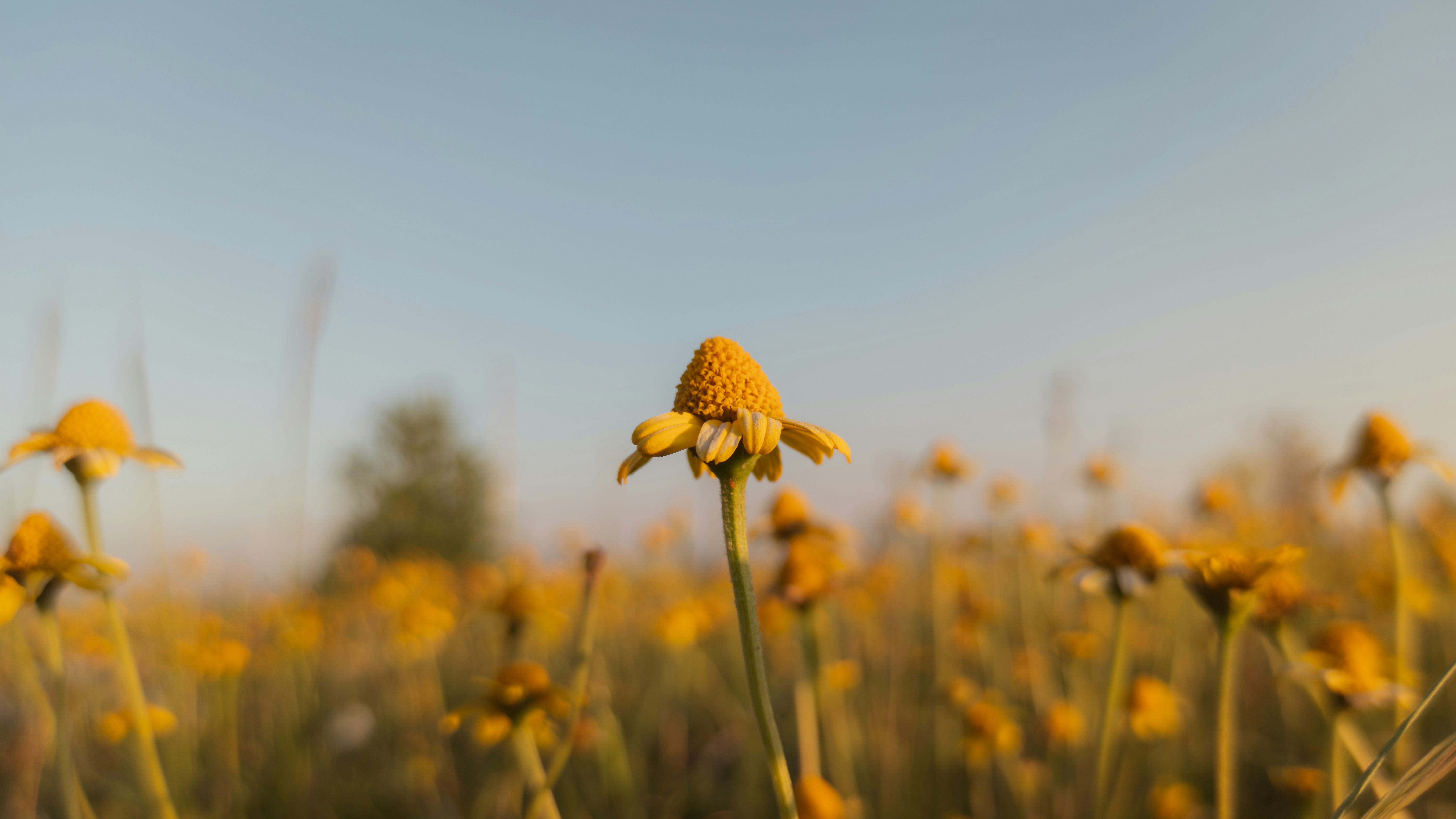 Photo by dariobonzi39