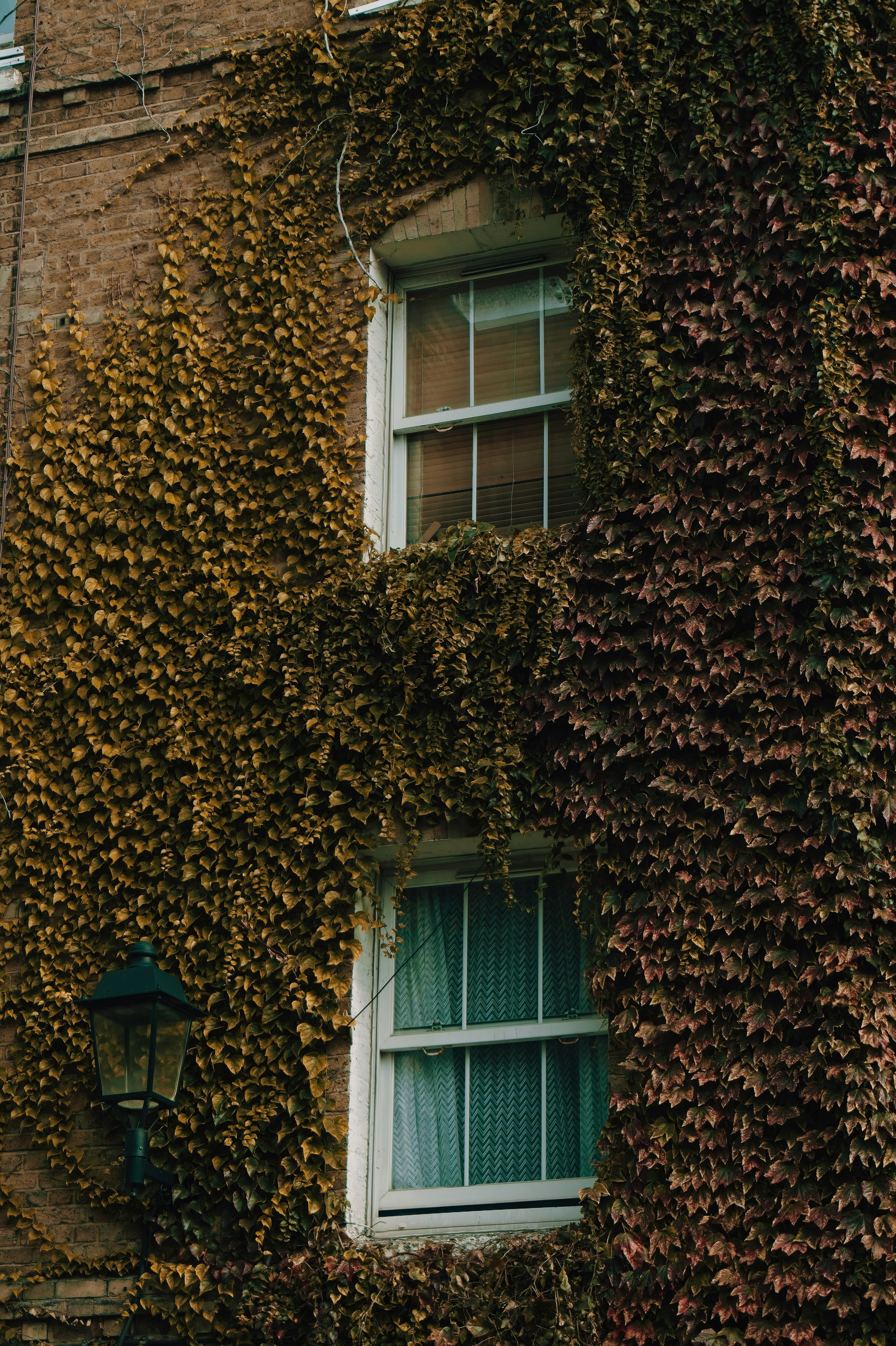 Photo by arthurhinton