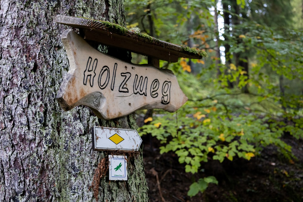 a sign on a tree