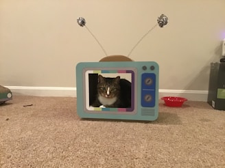 A cat is sitting inside a cardboard box designed to look like a retro television. The box has antennas made of spiral wires with aluminum foil at the ends. The setting is indoors on a beige carpet, with a red bowl in the background.