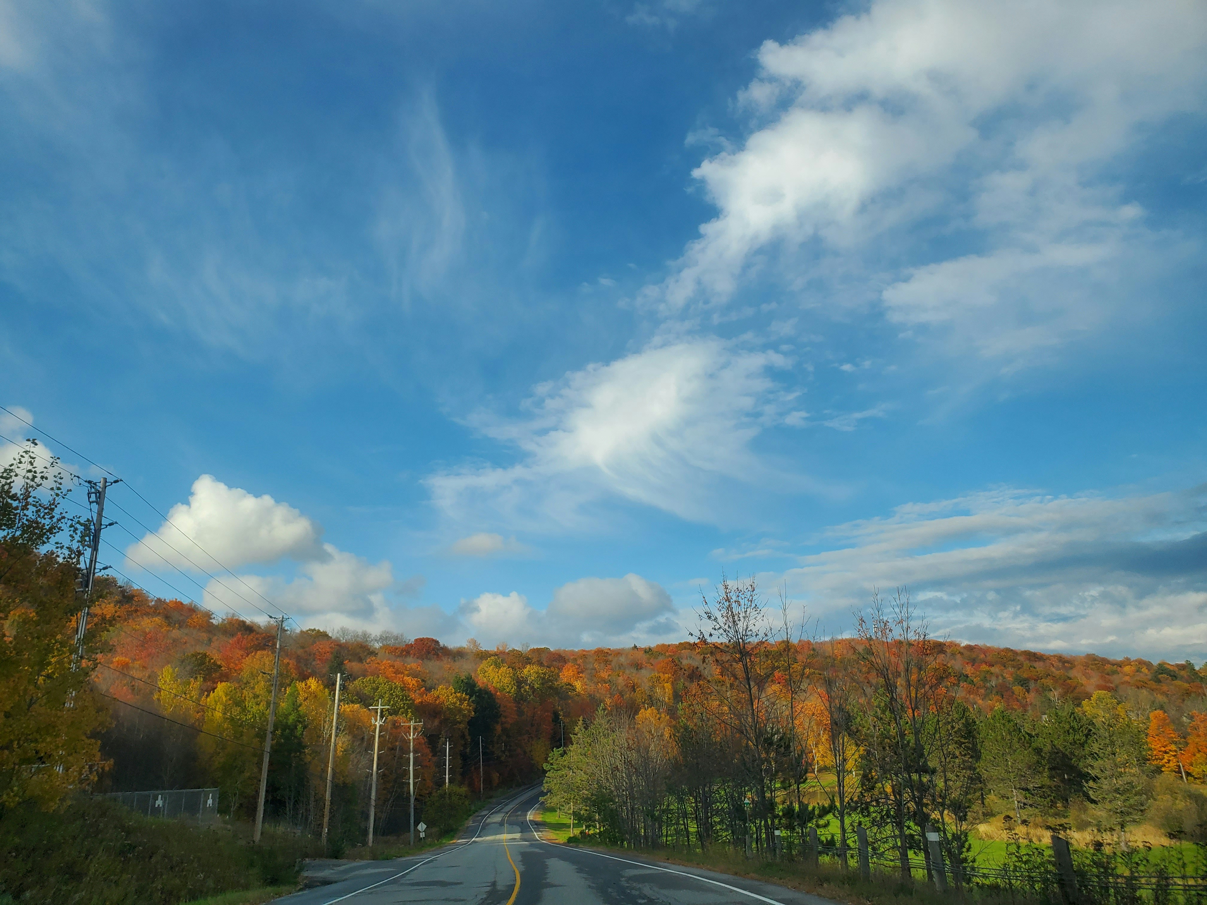a road with trees on the side