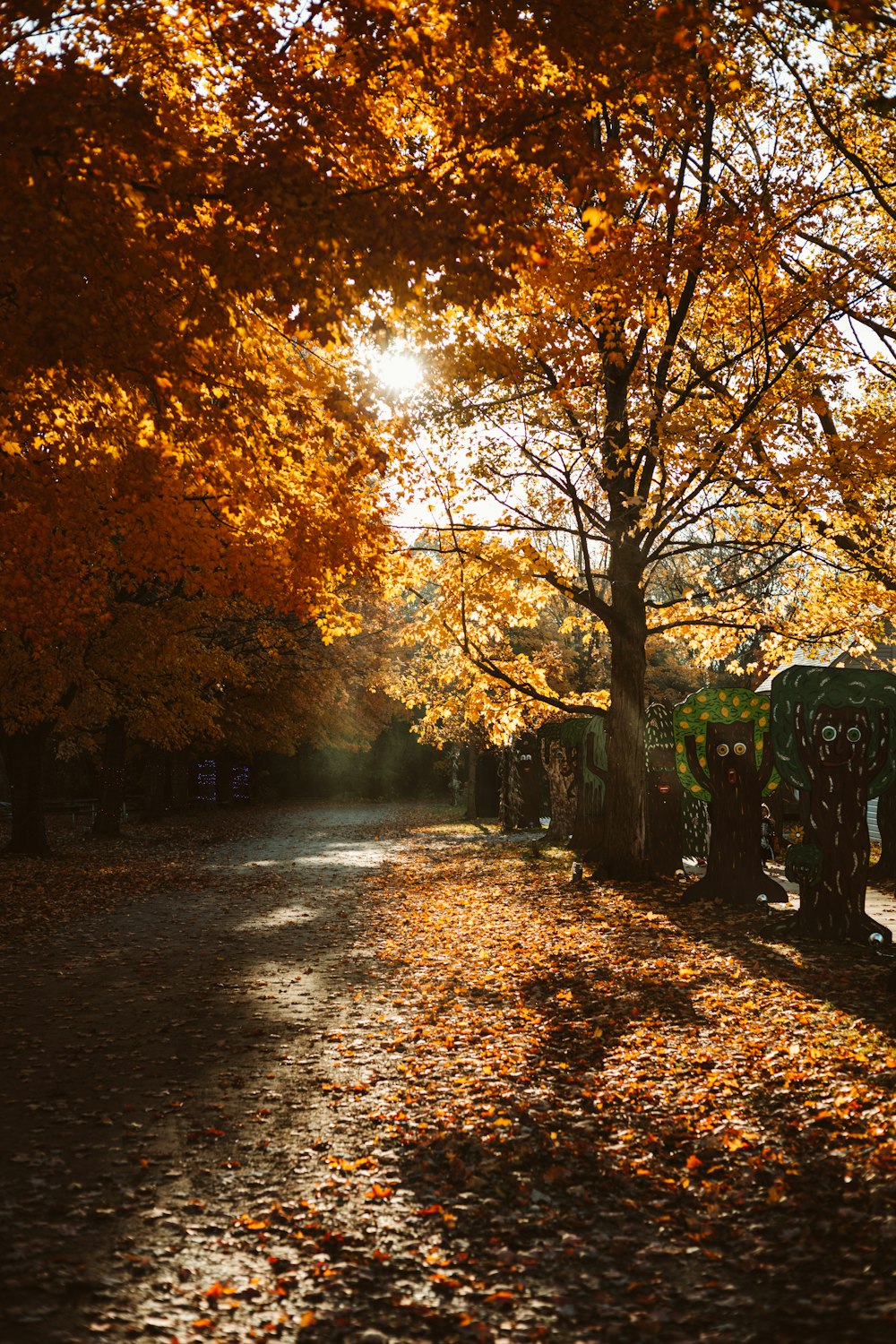 a road with trees on either side