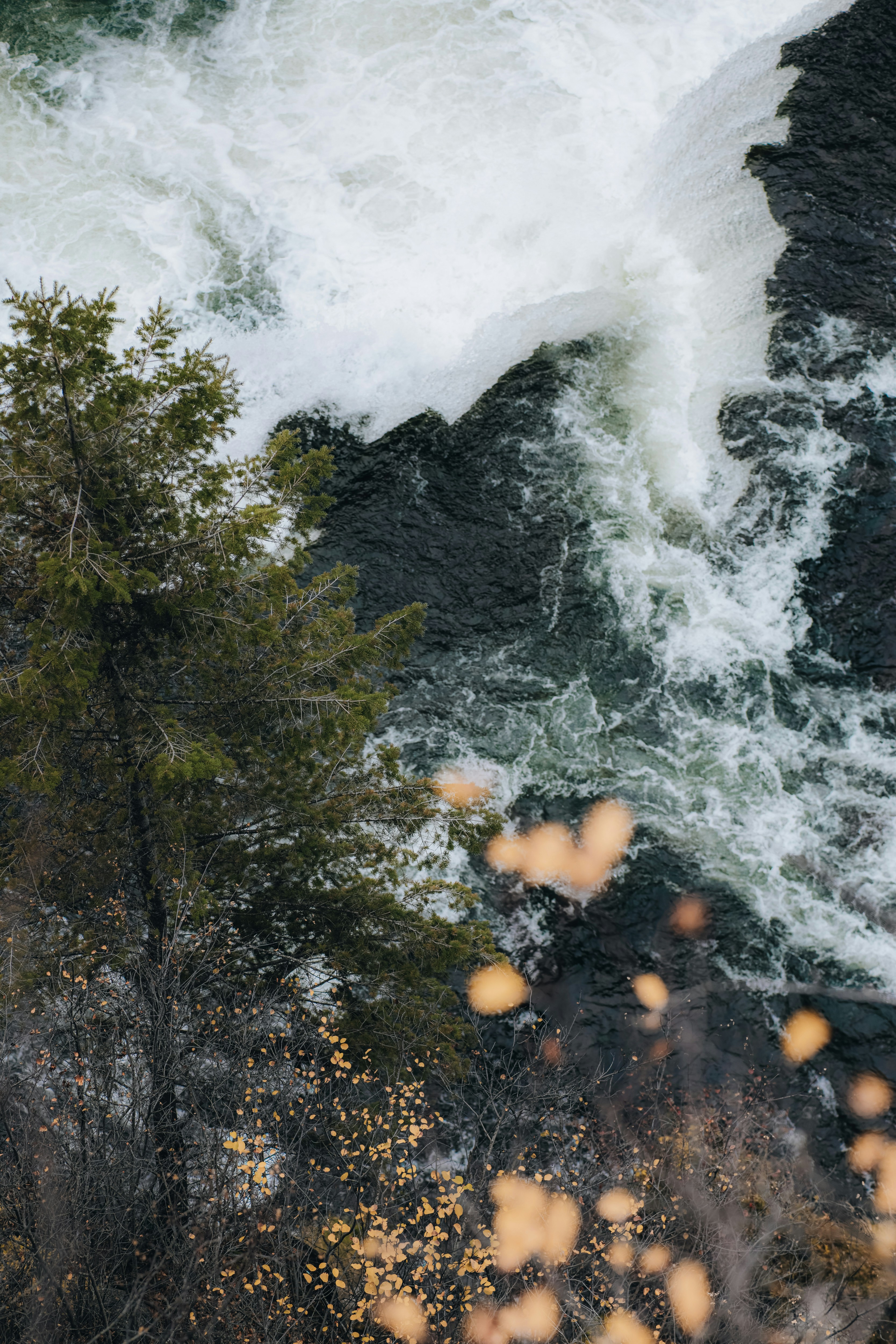 Photo by isaactmitchell