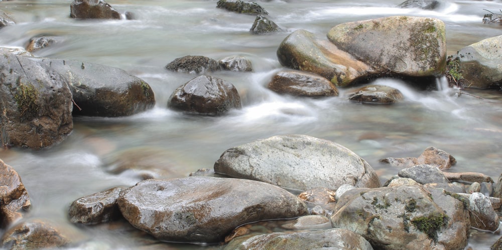 a river with rocks