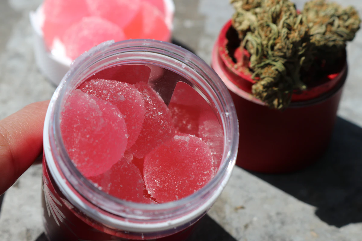 Hand holding an open jar of pink THC gummies next to a grinder filled with cannabis flower