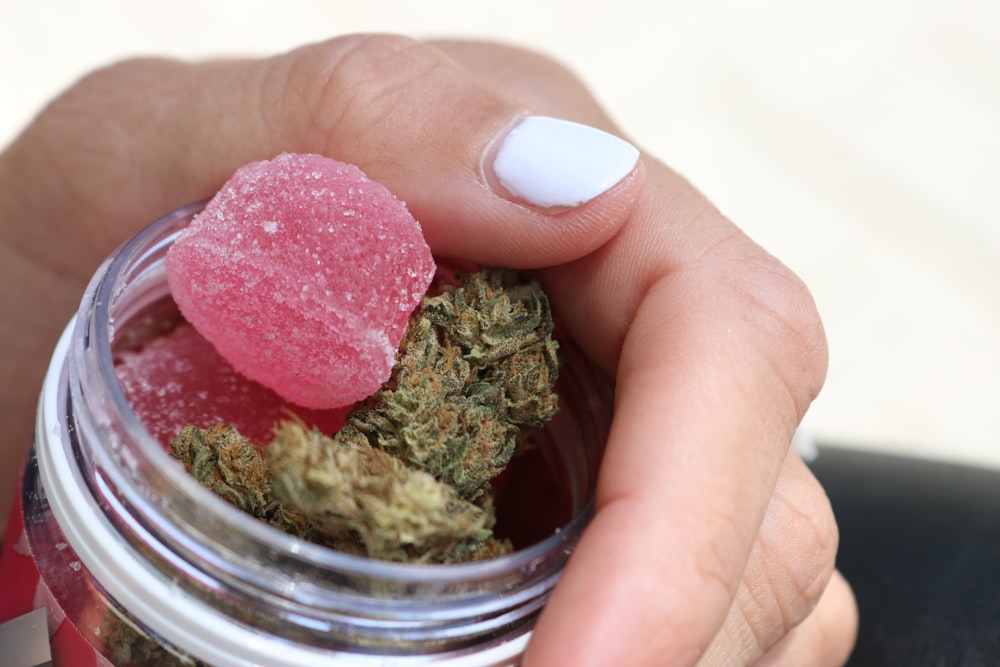 a hand holding a small bowl of food