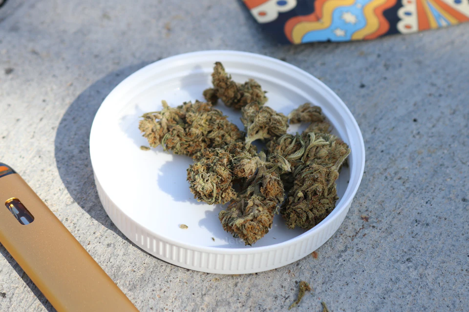 White plastic lid holds several brown and green marijuana buds on a gray concrete surface