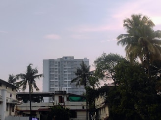 A tall residential building with multiple floors stands prominently in the background, surrounded by lush green trees and palm trees. The sky is light blue with hints of pink, indicating either sunrise or sunset. In the foreground, there are smaller buildings with flat rooftops.