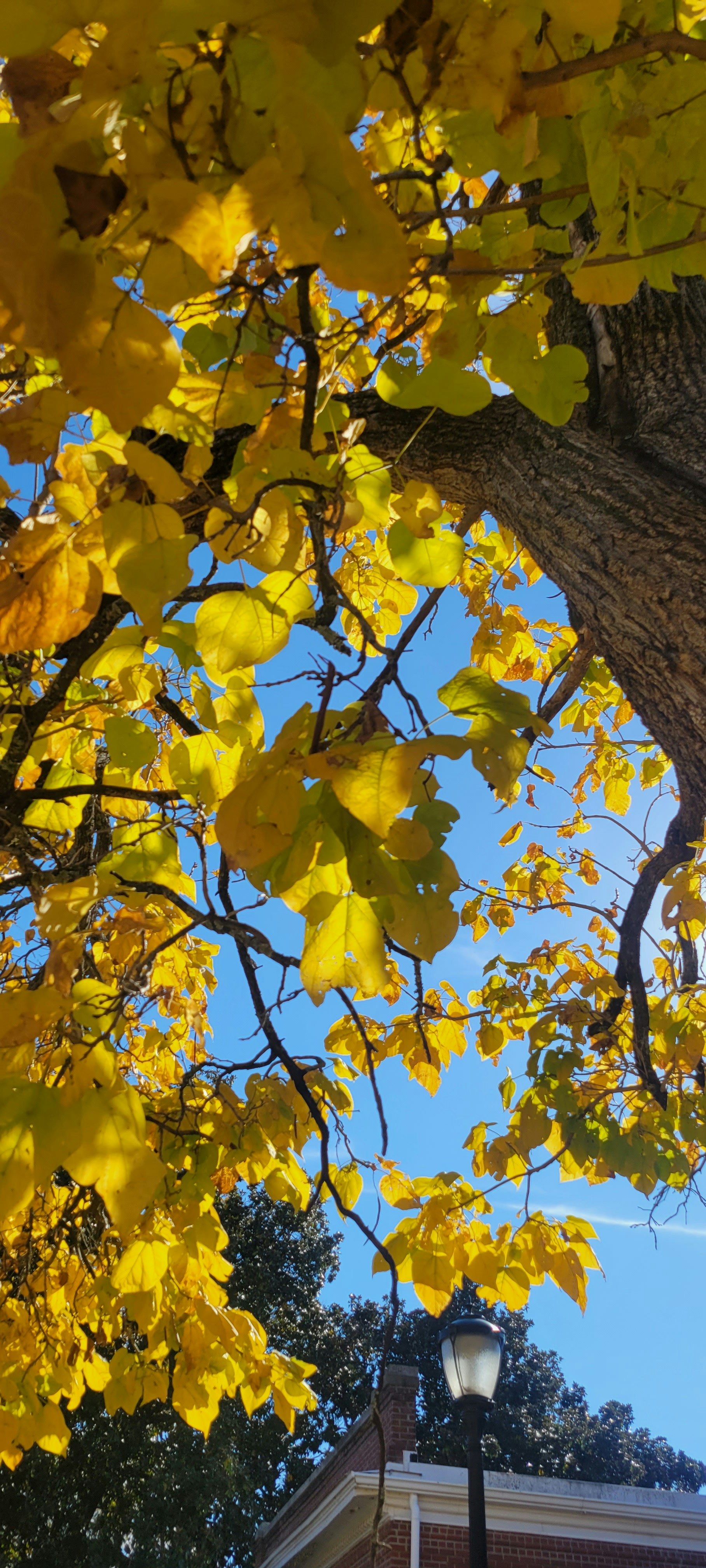 Photo by sierra_williams00