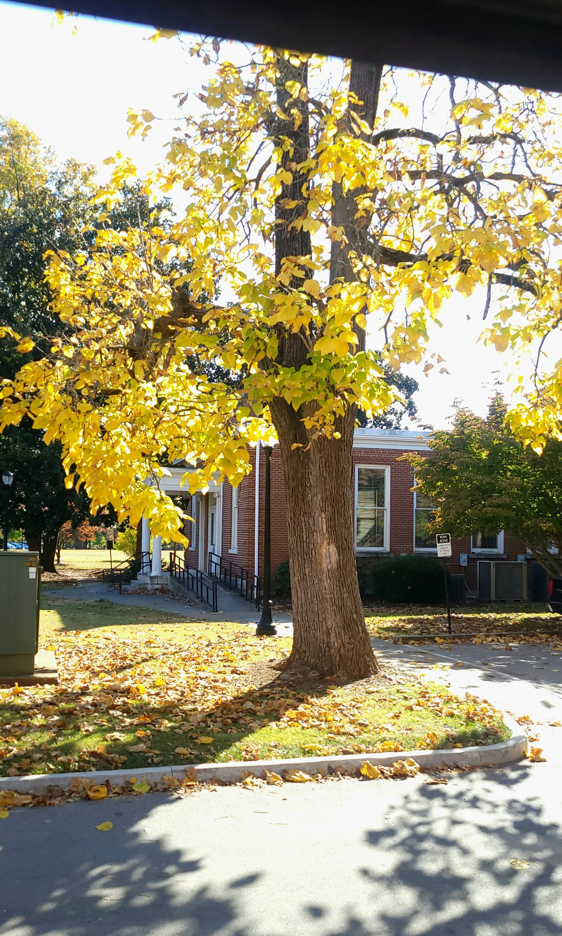 Photo by sierra_williams00