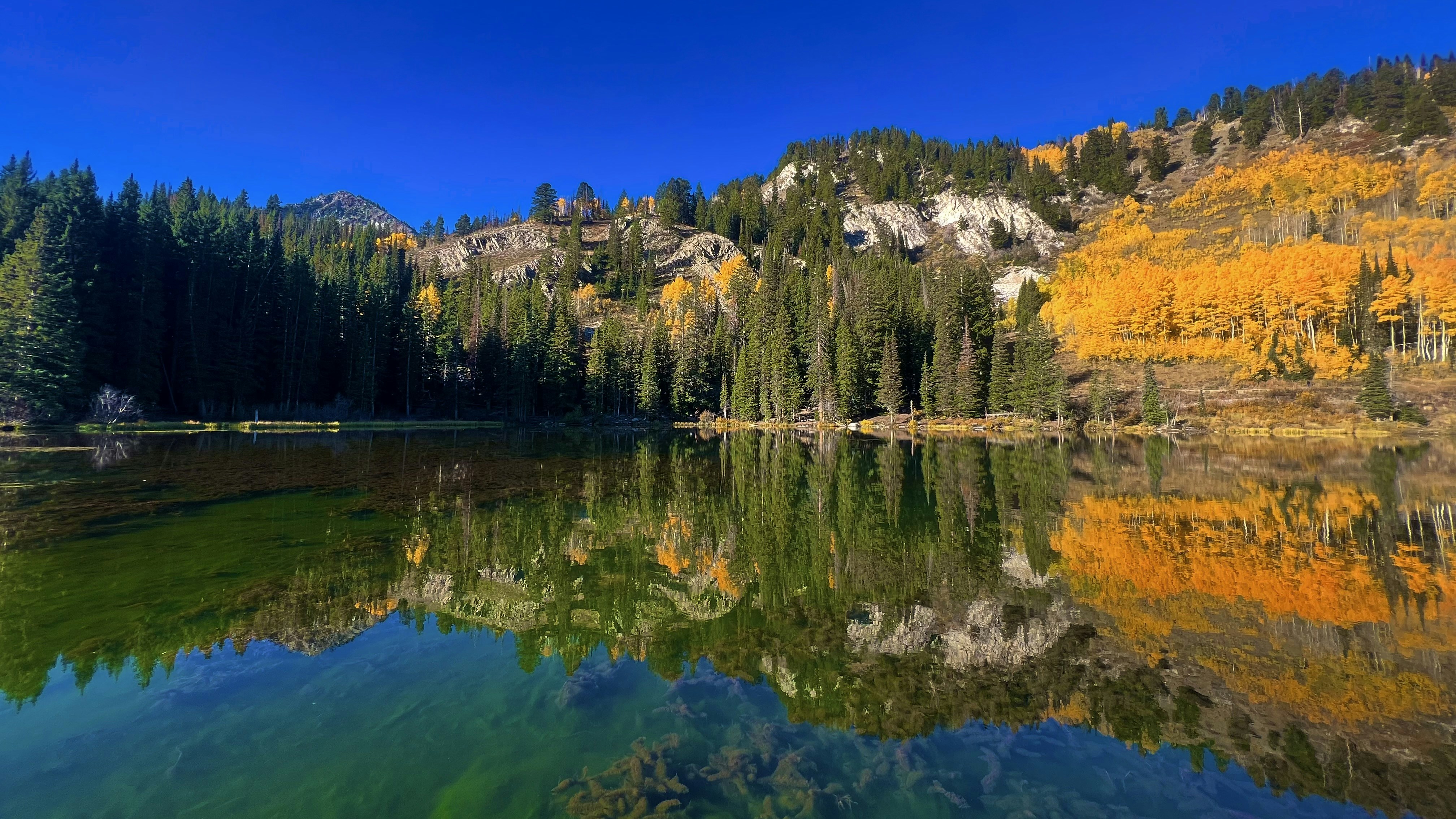 Fun Things to Do in Cottonwood Heights