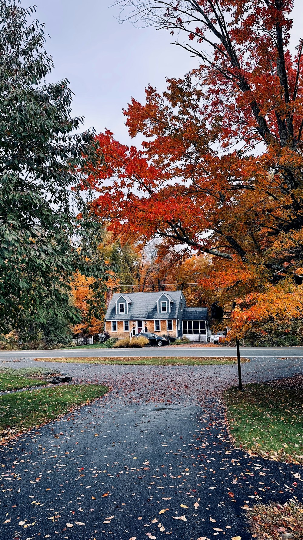 a house with trees around it